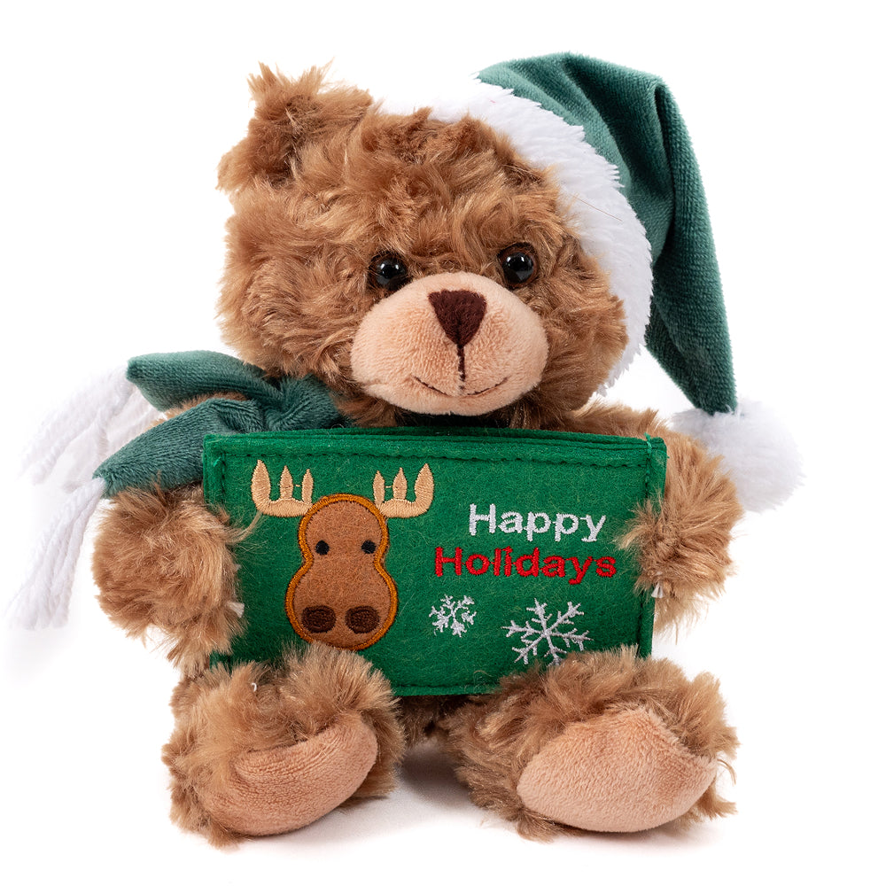 Christmas Green Gift Card Bear 9inch