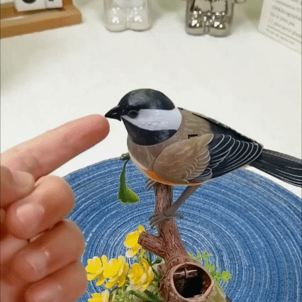 Chirpy Companions Bird -Decorative Boring Life