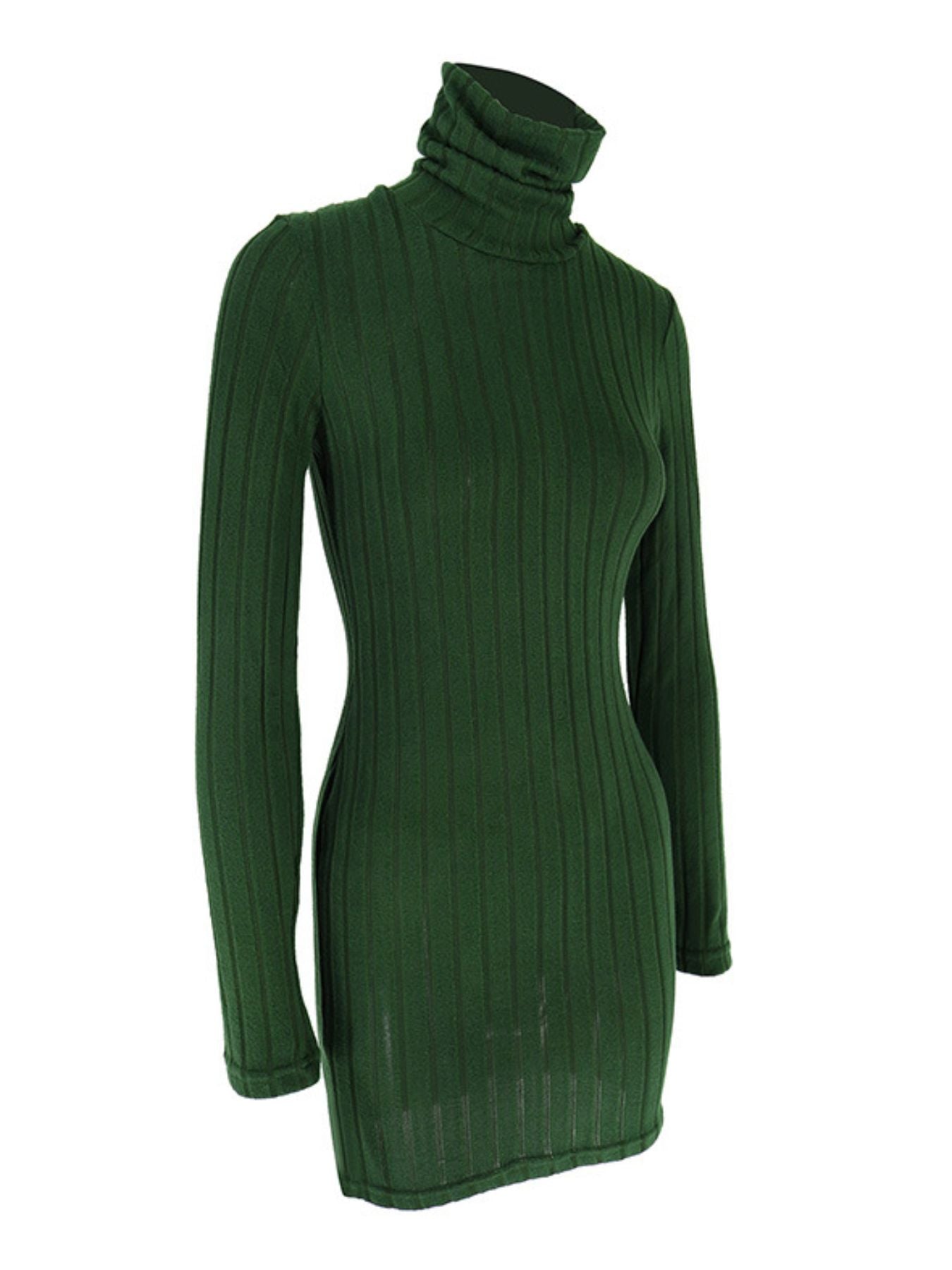 Turtleneck Ribbed Bodycon Mini Dress