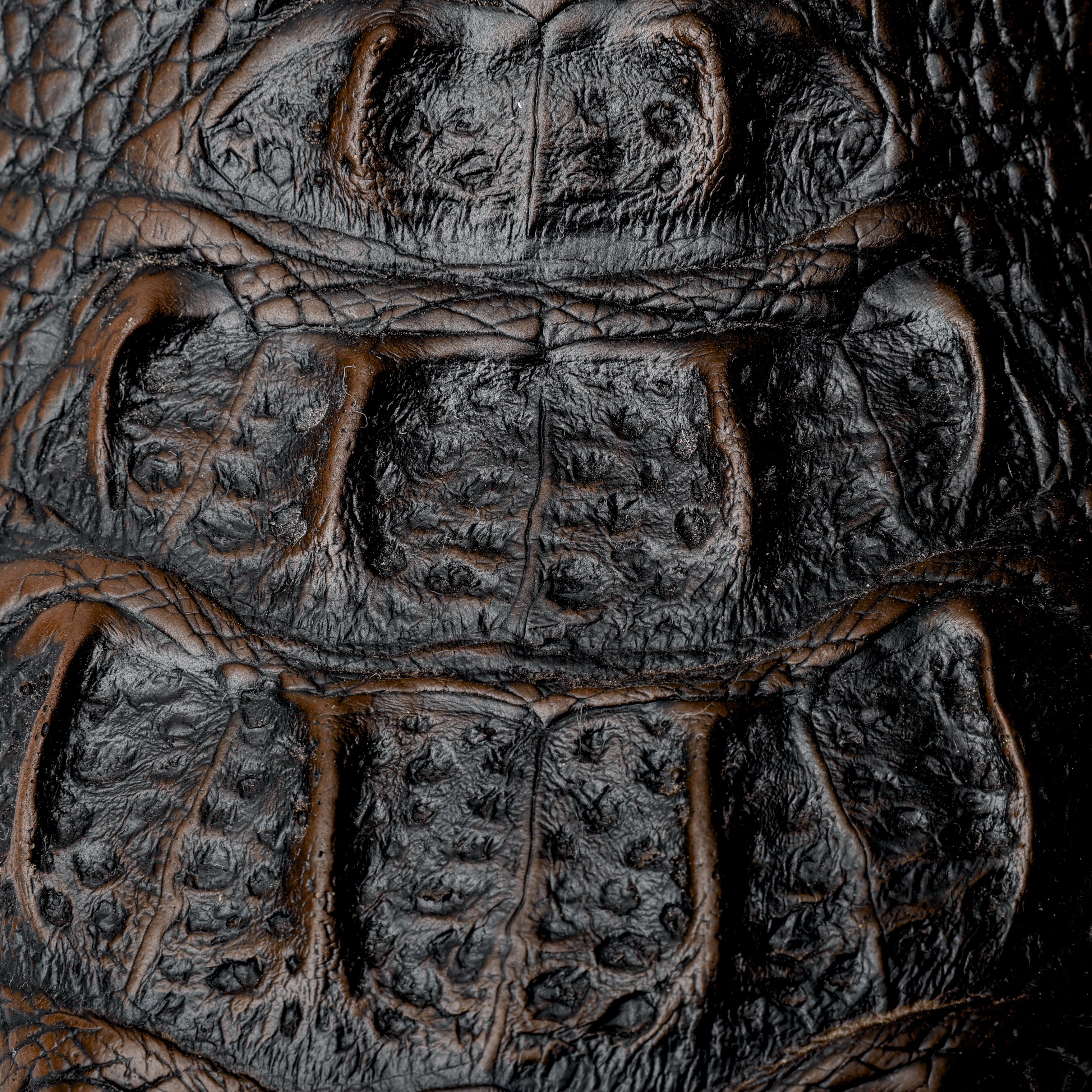 Dark Chocolate Caiman Neck Leather Boots - Square Toe