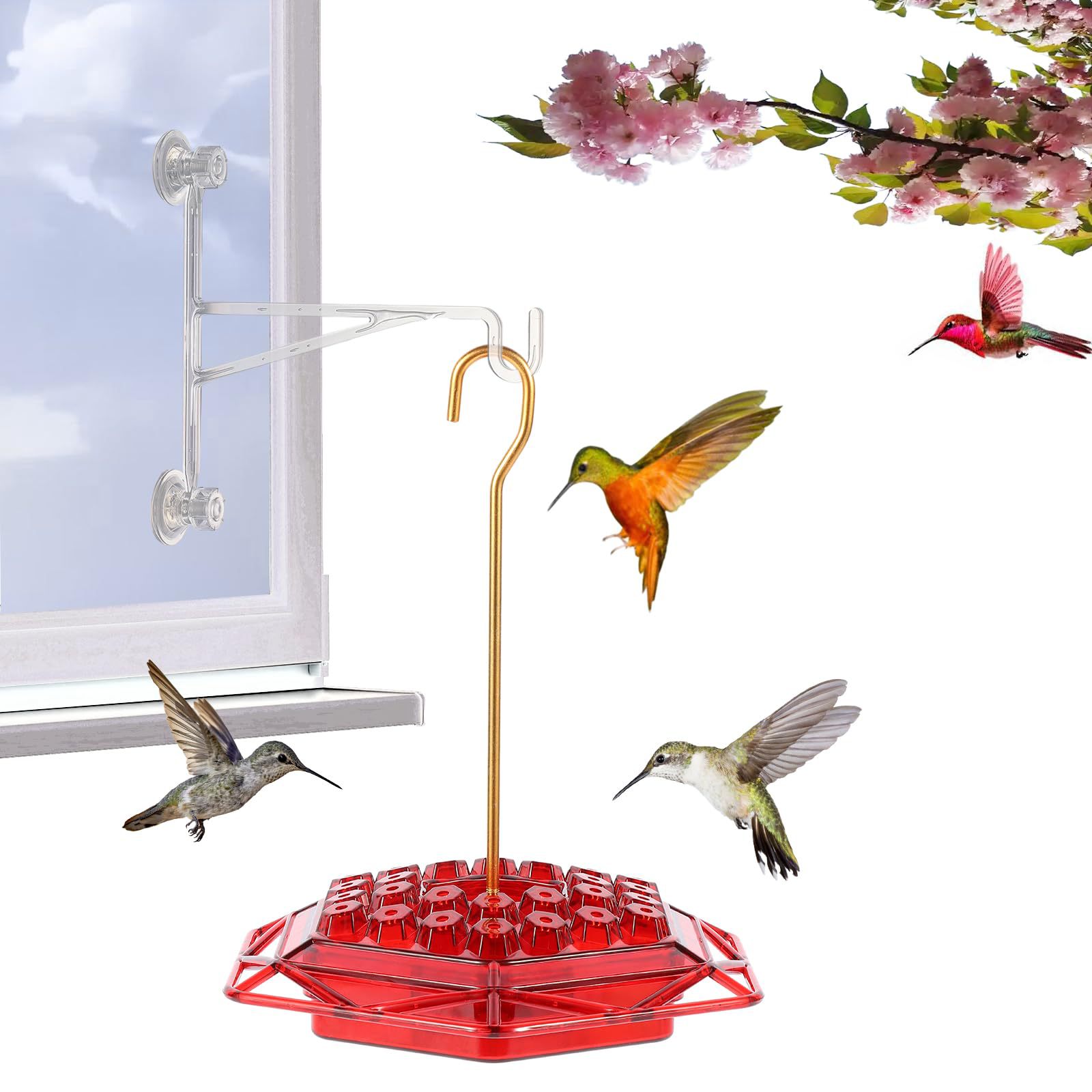 Hummingbird Haven Feeder