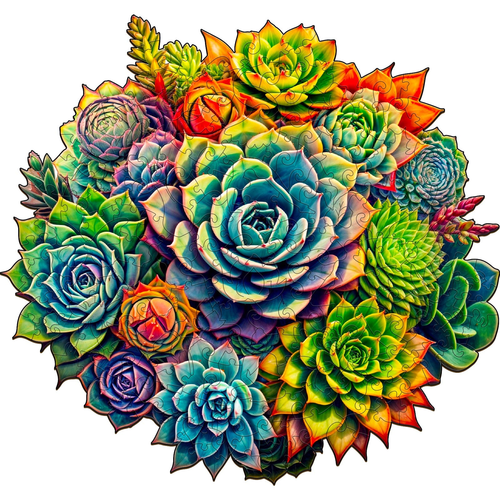 Succulent Plants-3 Wooden Jigsaw Puzzle