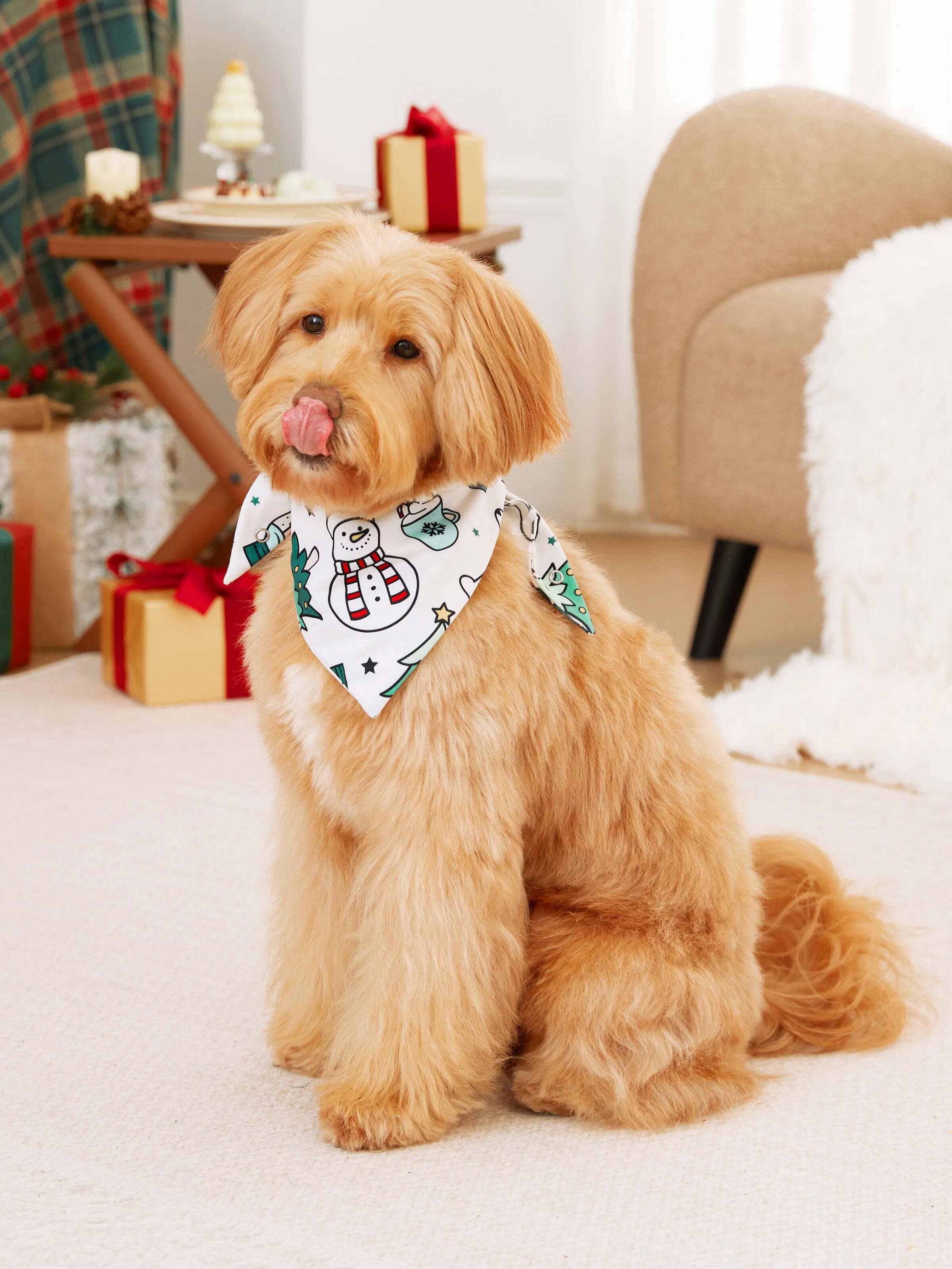 Christmas Family Matching Long Sleeves Very Merry Green Tops Allover Pattern Pants Pajamas Sets with Christmas Socks MediumSpringGreen