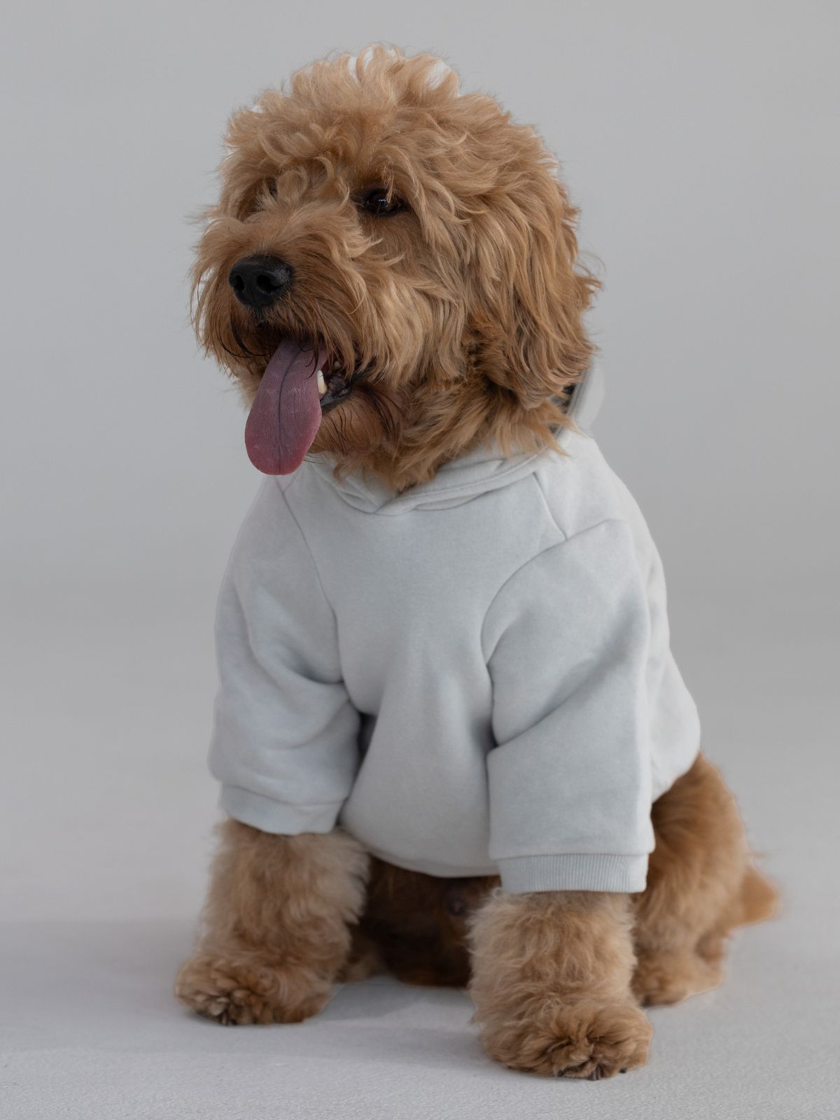 Standard Paw Hoodie
