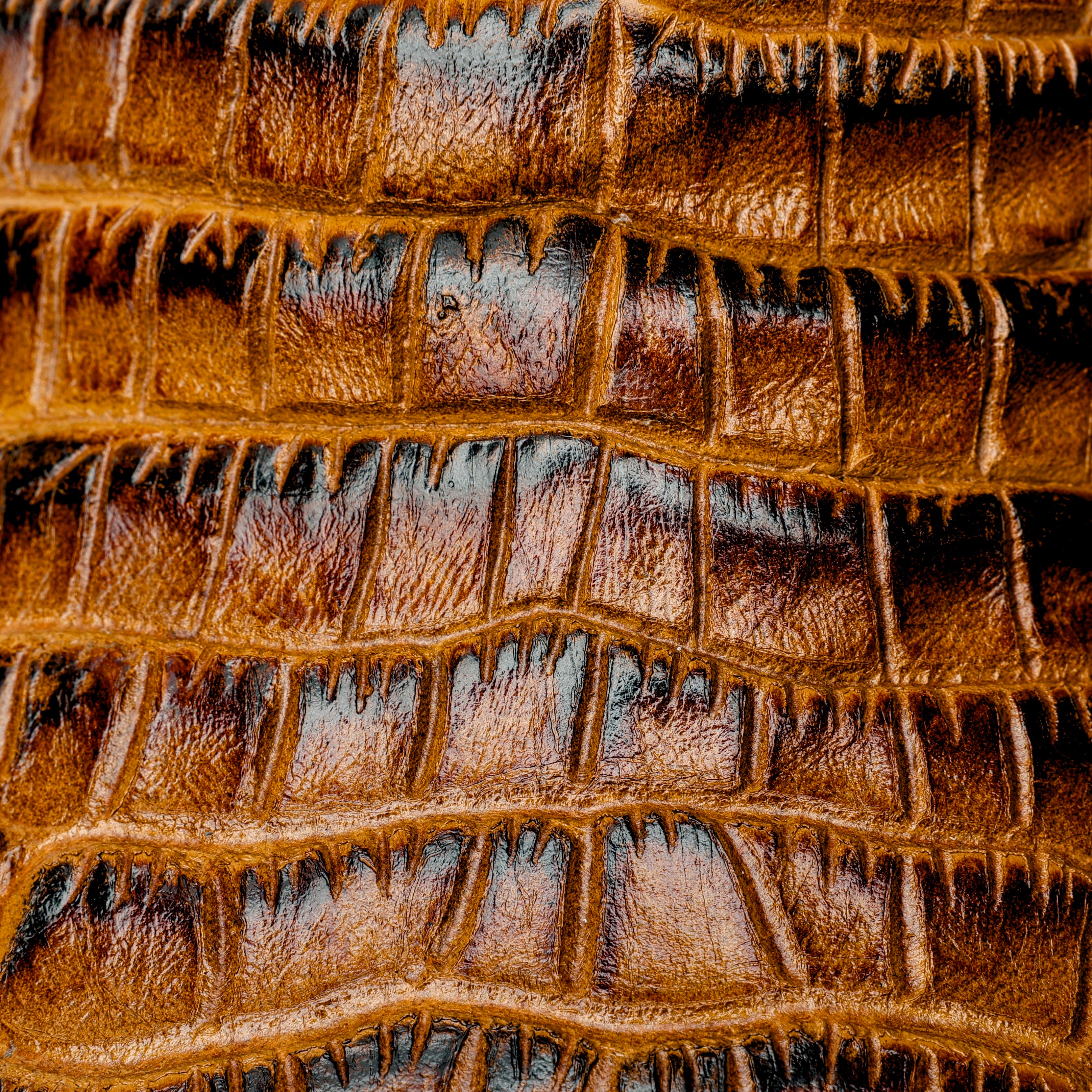 Honey Caiman Belly Leather Boots - Square Toe