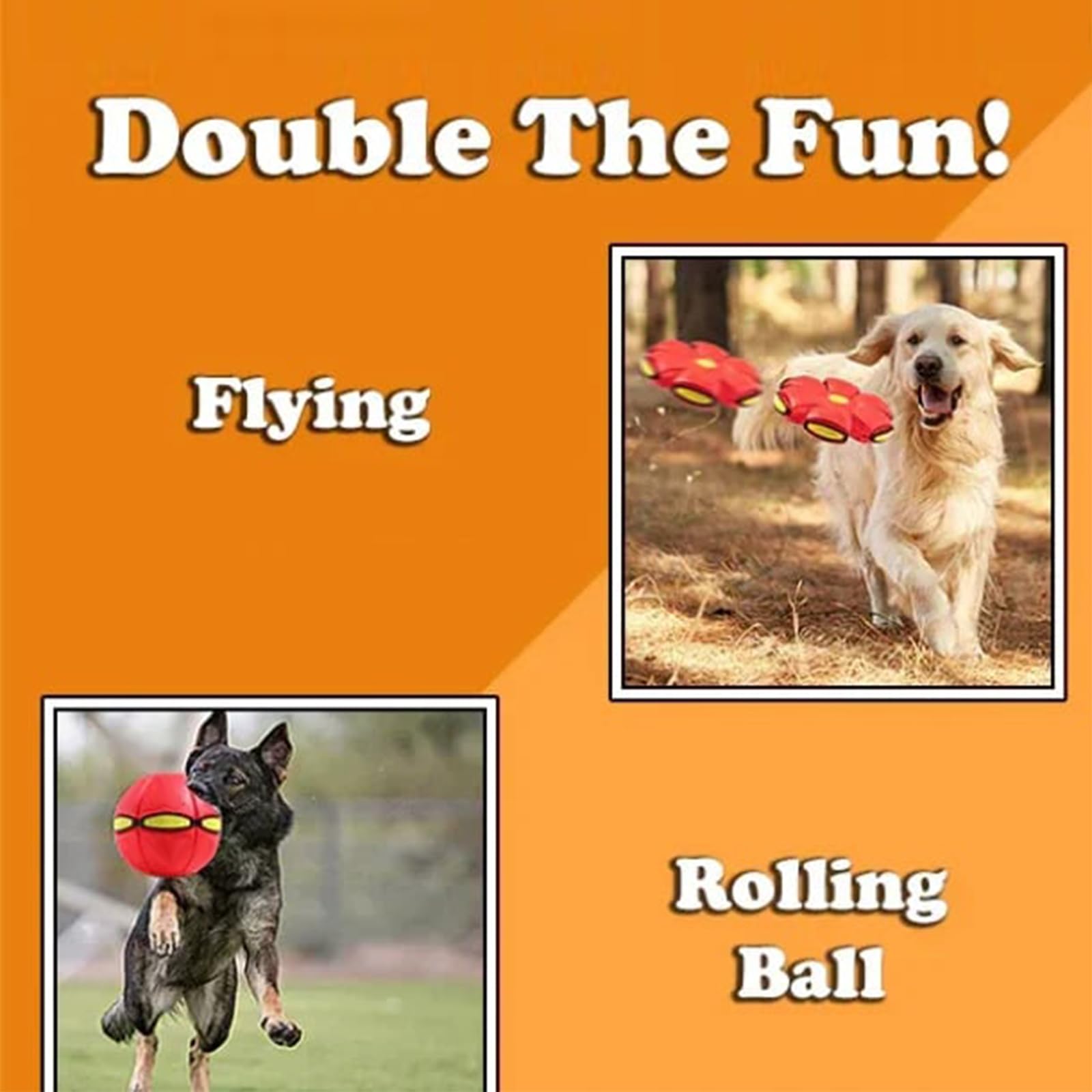 The Doggy Disc Ball