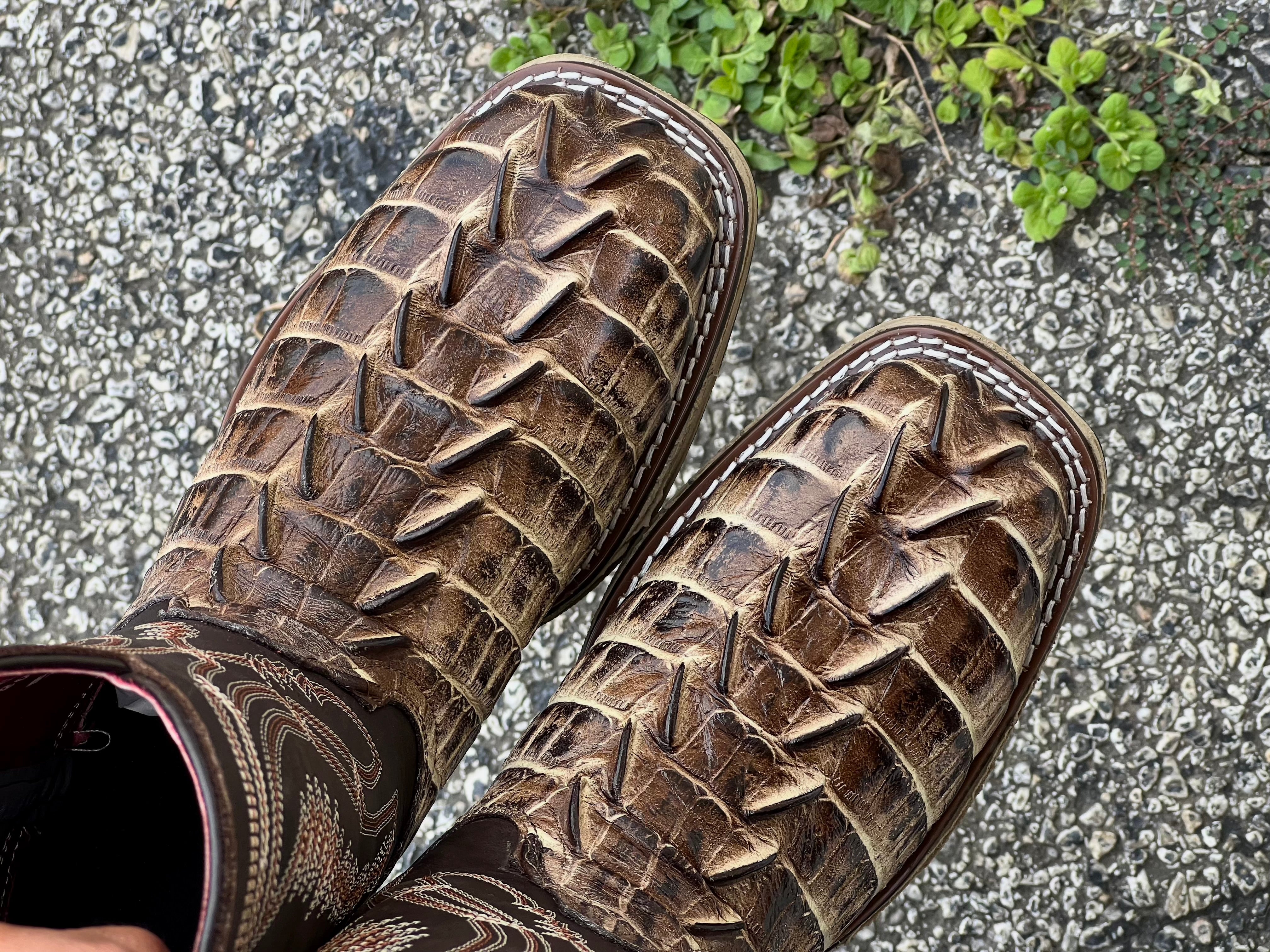 Men’s Orix Caimán Tail Leather Work Boots -  Composite Toe