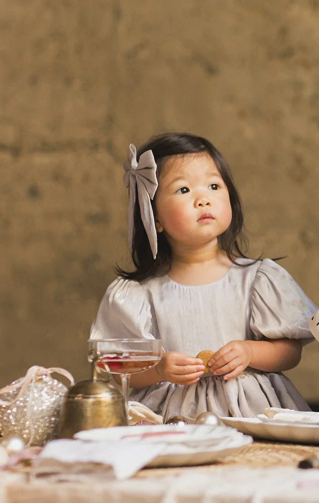 Sofia Dress || Frost