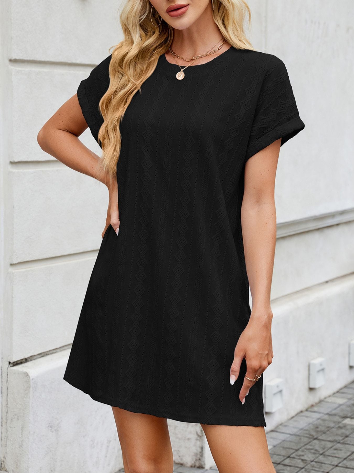 Eyelet Round Neck Casual Mini Dress