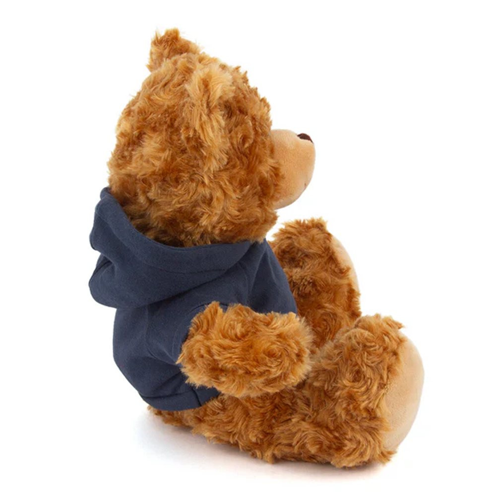 Customized Mocha Bear with Hoodie 11inch