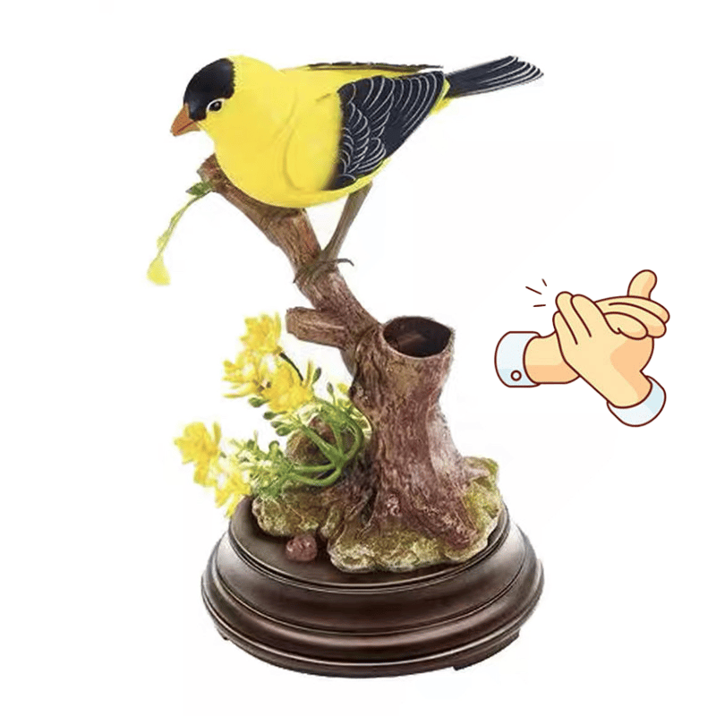 Chirpy Companions Bird -Decorative Boring Life