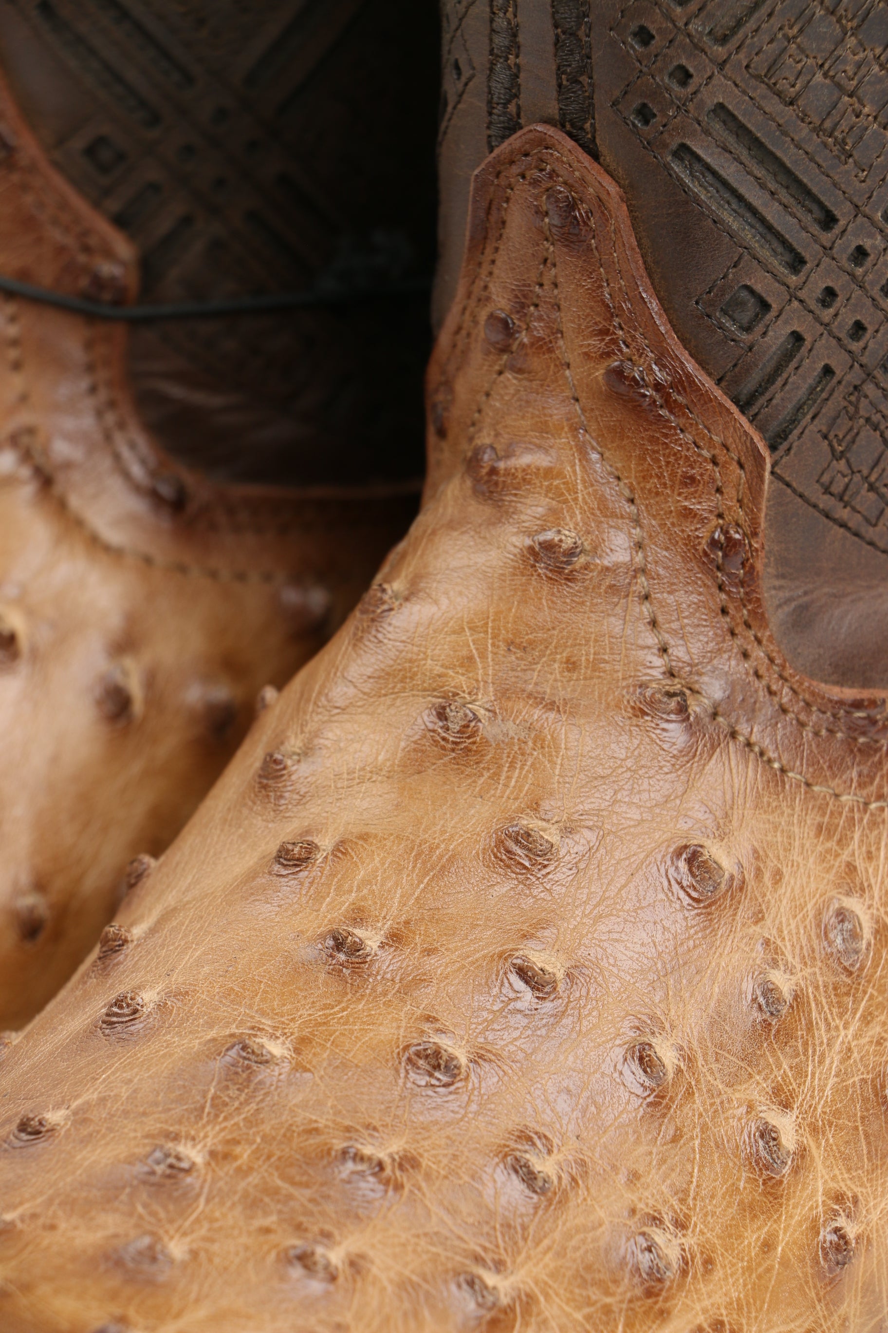 Chero's Premium Exotic Ostrich Scorched Brandy Clearance Sale 70%OFF