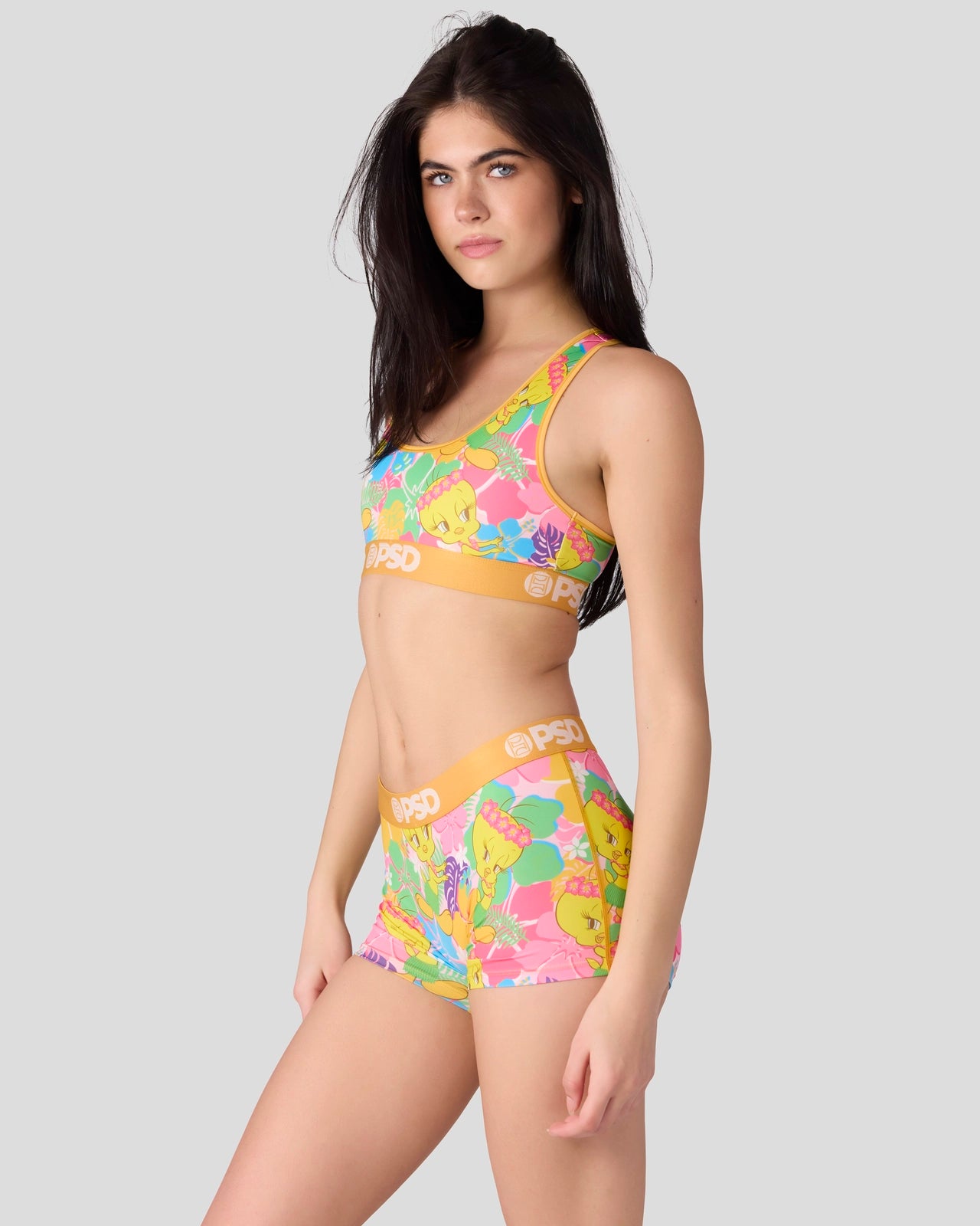 Looney Tunes - Tweety Hawaii