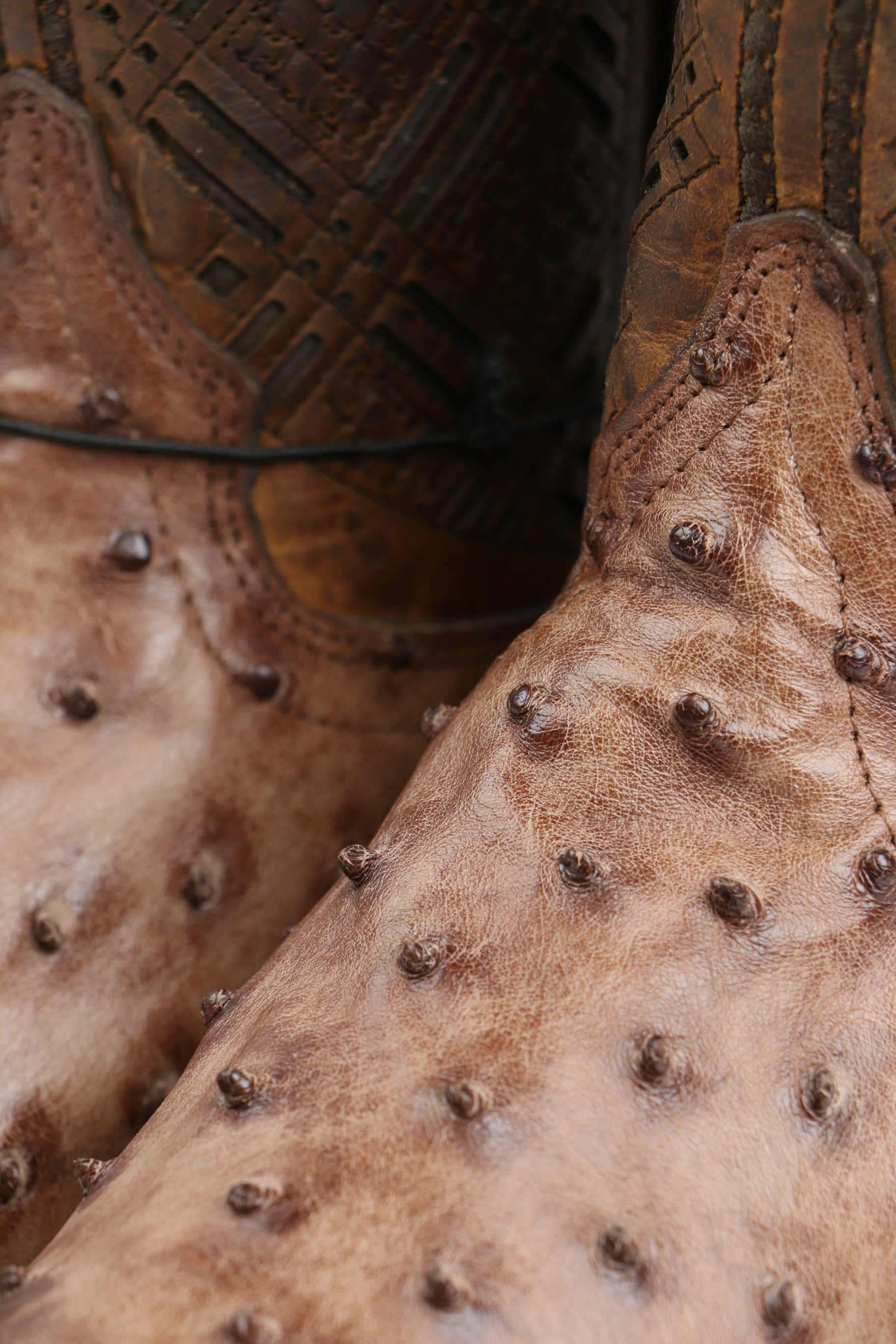 Chero's Premium Exotic Ostrich Kango Tobacco Clearance Sale 70%OFF