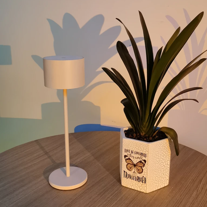 Protection Eye Cylinder