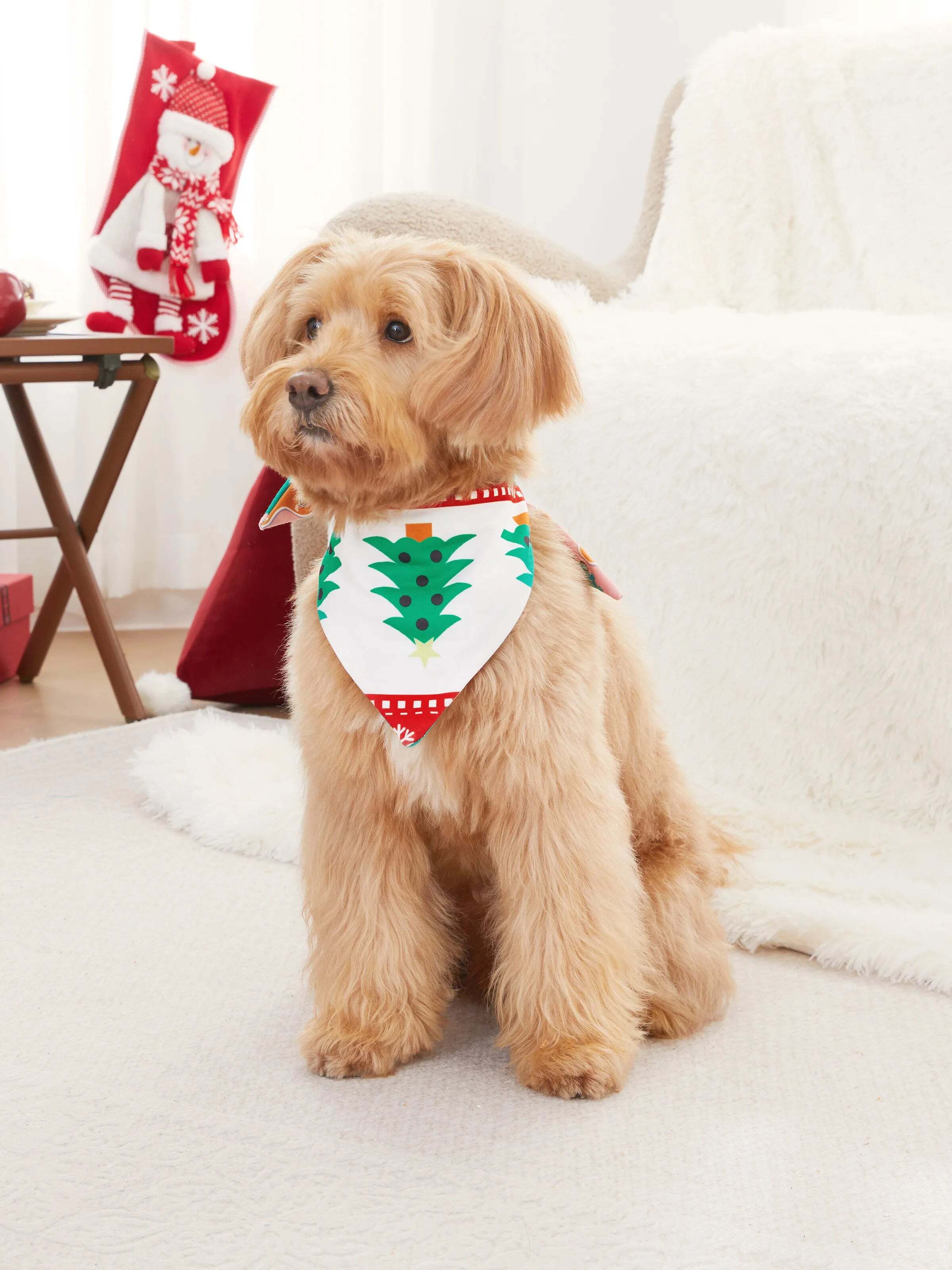 Onesies Pajamas Matching Christmas Outfits Allover Pattern Zipper Front Holly Jolly Print with Christmas Socks Back MultiColour