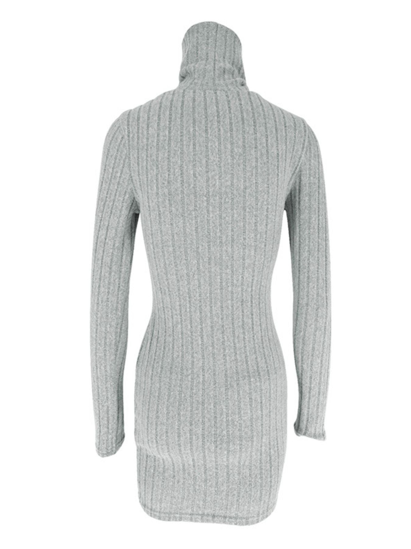 Turtleneck Ribbed Bodycon Mini Dress