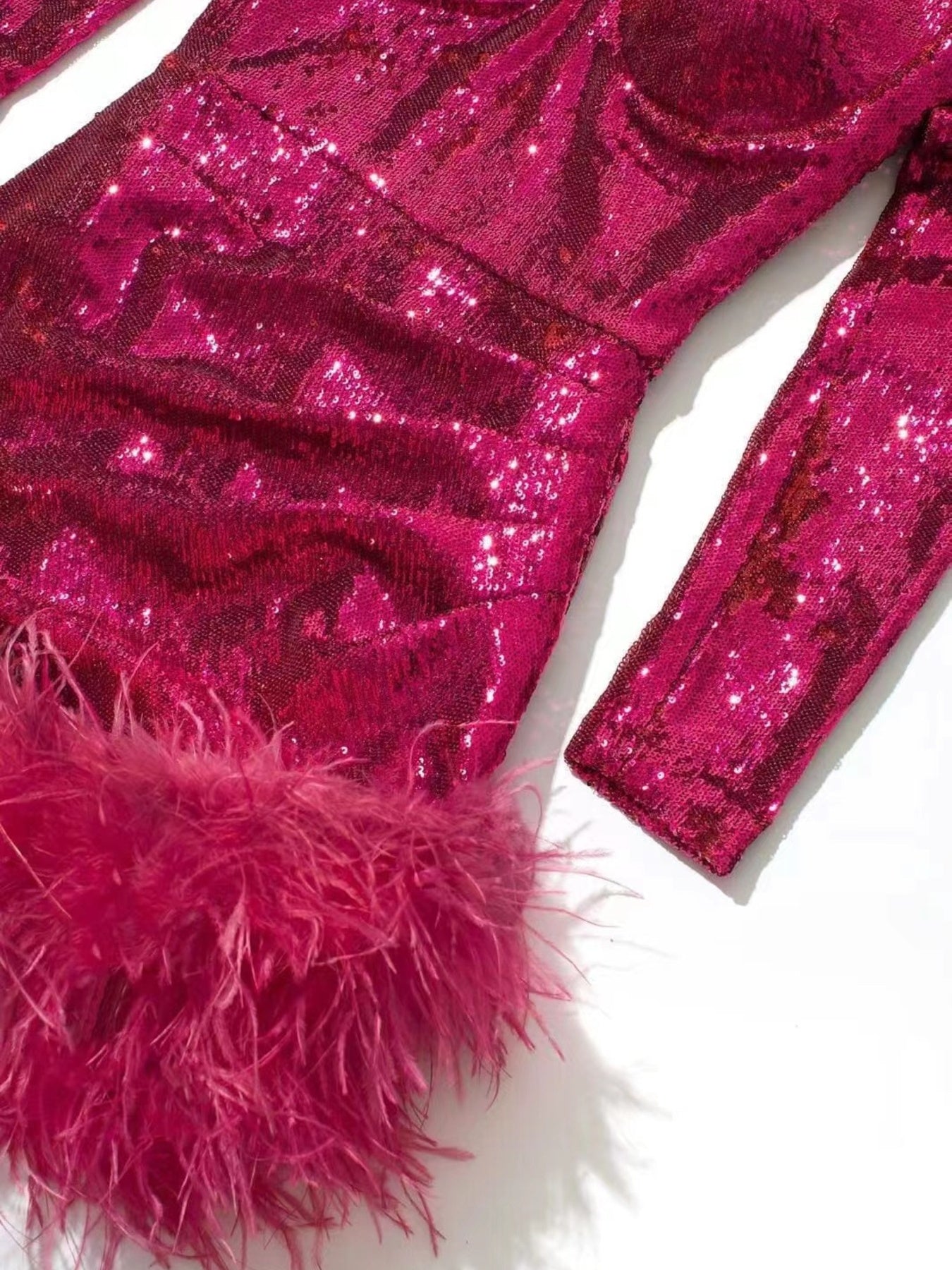 Sequin Feather Trim Mini Dress