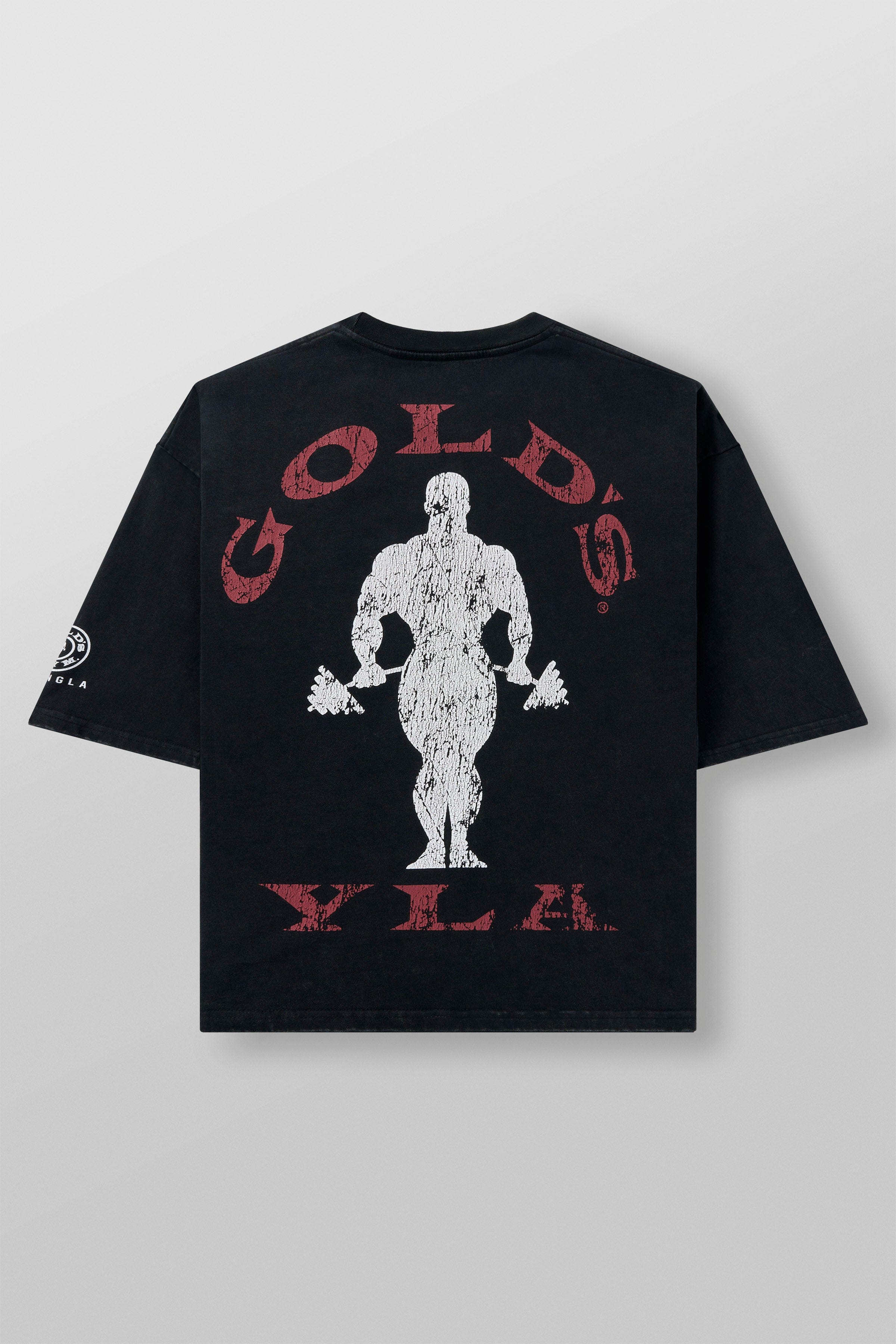 4002 - Golds Gym New Age Tees