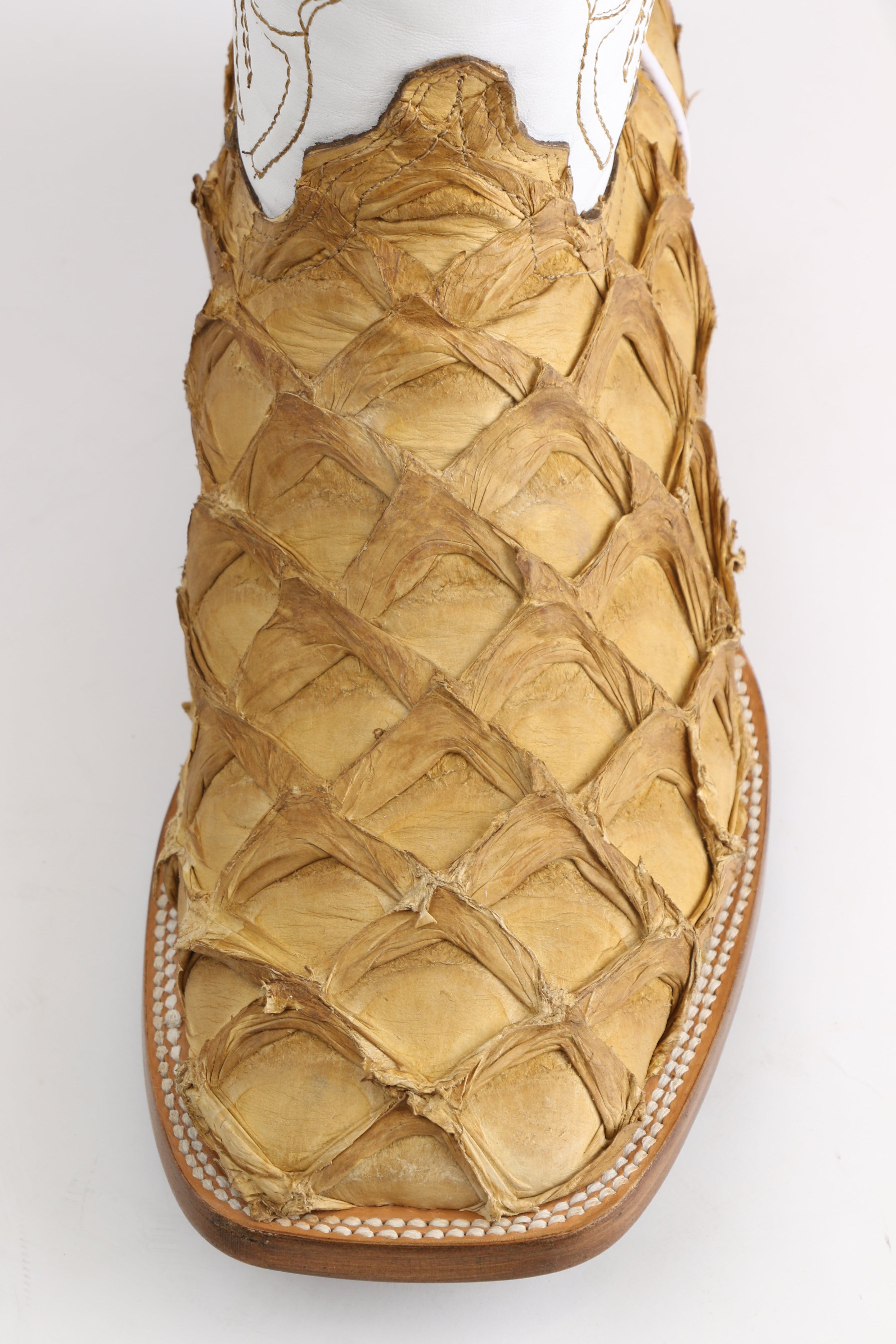 Chero's Premium Exotic Pirarucu Light Castor Clearance Sale 70%OFF