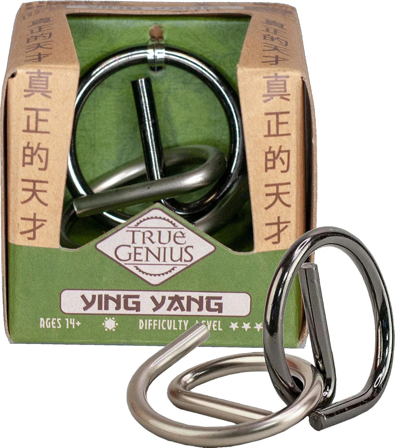 True Genius Brainteaser - Yin Yang