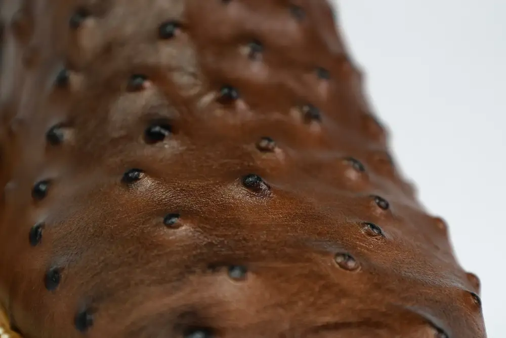 Brown Ostrich Leather Boots — Square Toe