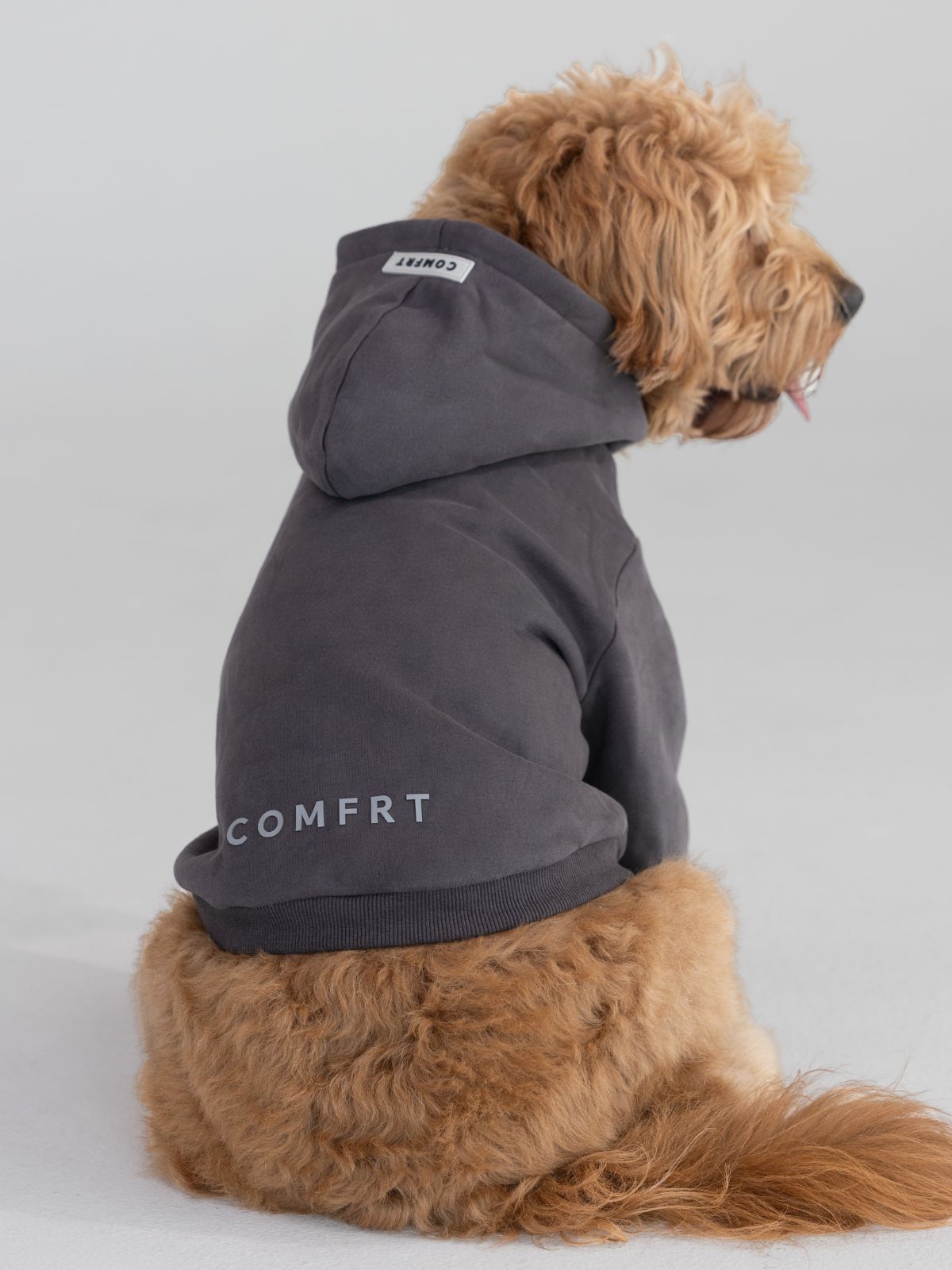 Tranquil Paw Hoodie