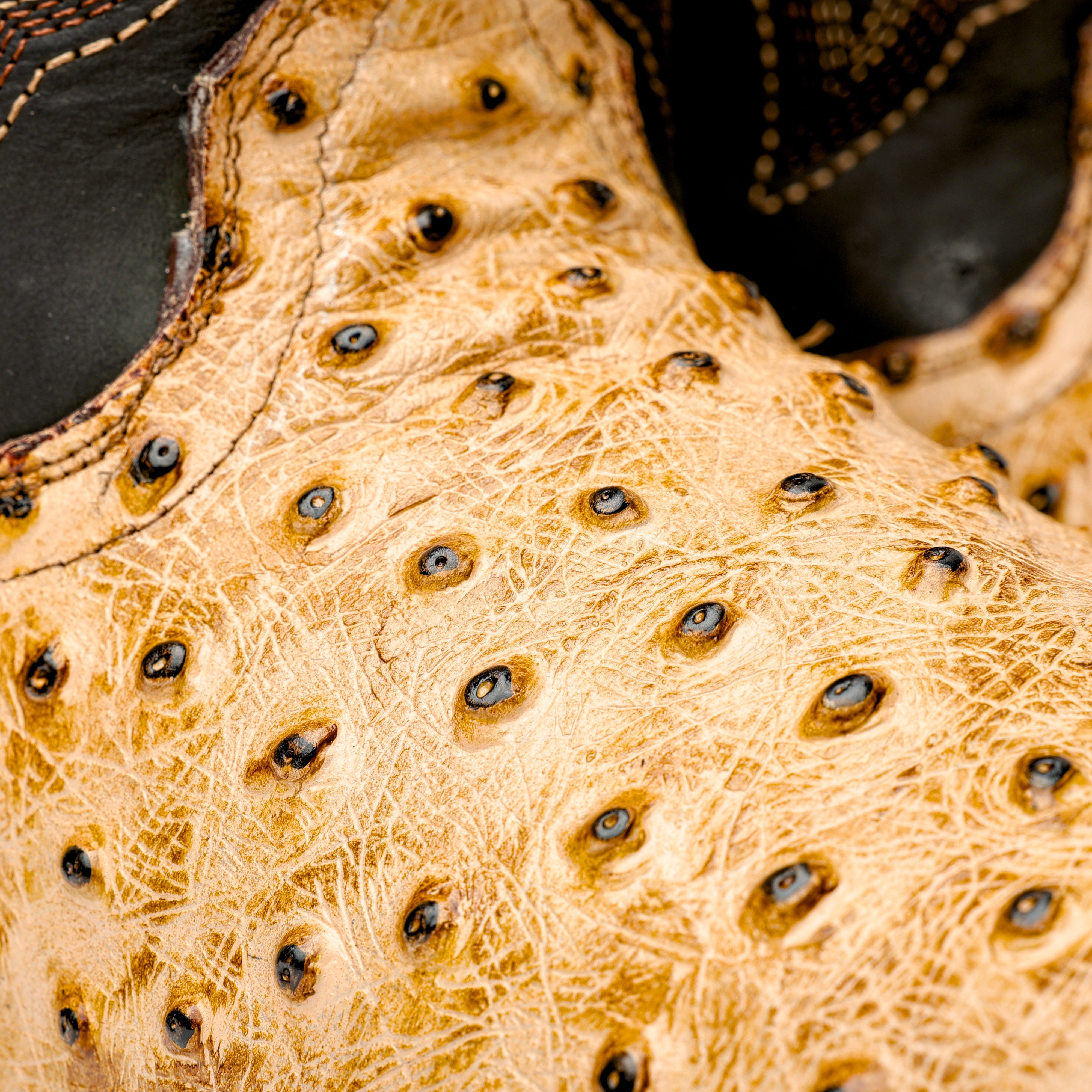 Orix Ostrich Boots With 3D Lightweight Sole - Composite Toe