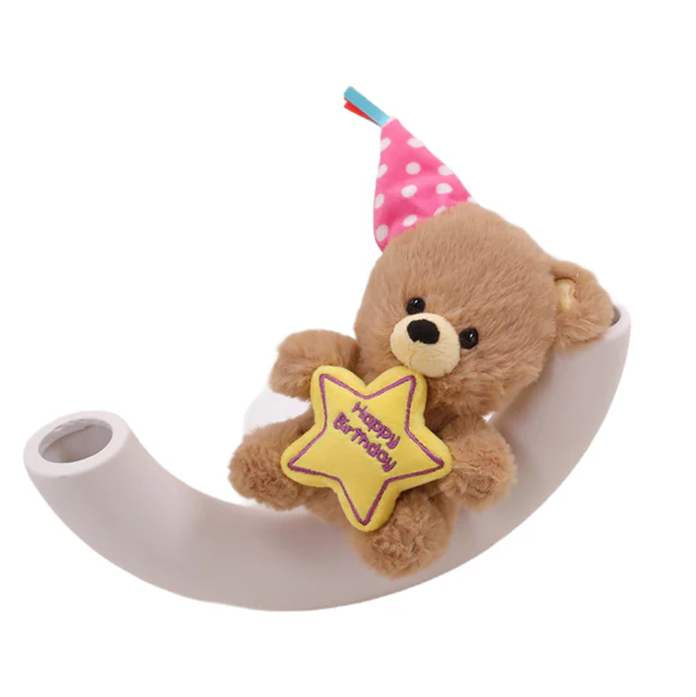 Birthday Star Bear with Hat 8inch