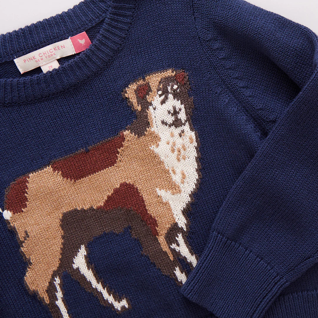 Boys Oliver Sweater Happy Dog