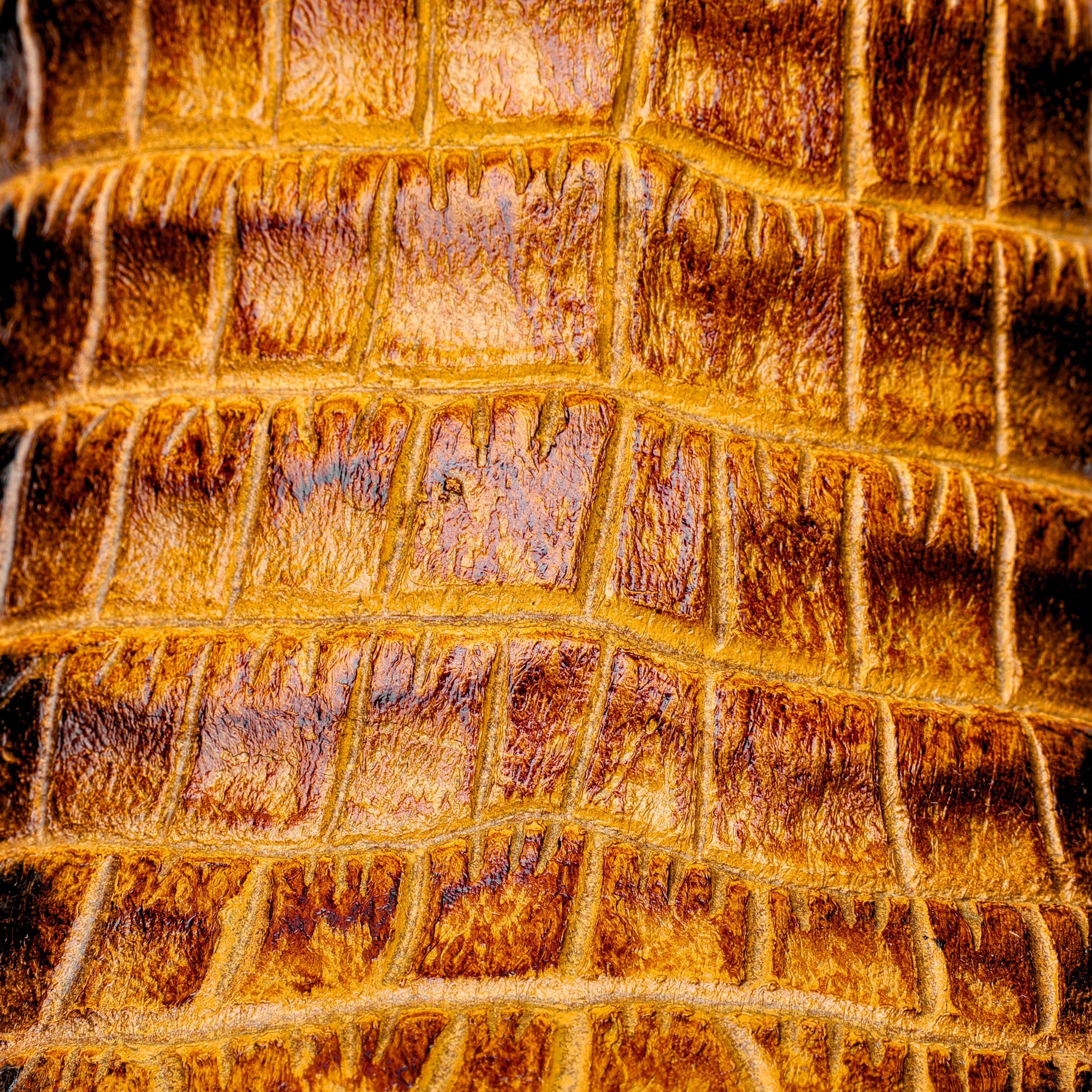 Two-Tone Caiman Belly Leather Boots - Square Toe