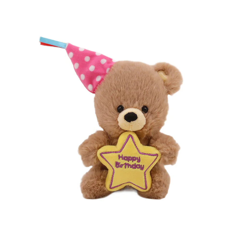 Birthday Star Bear with Hat 8inch