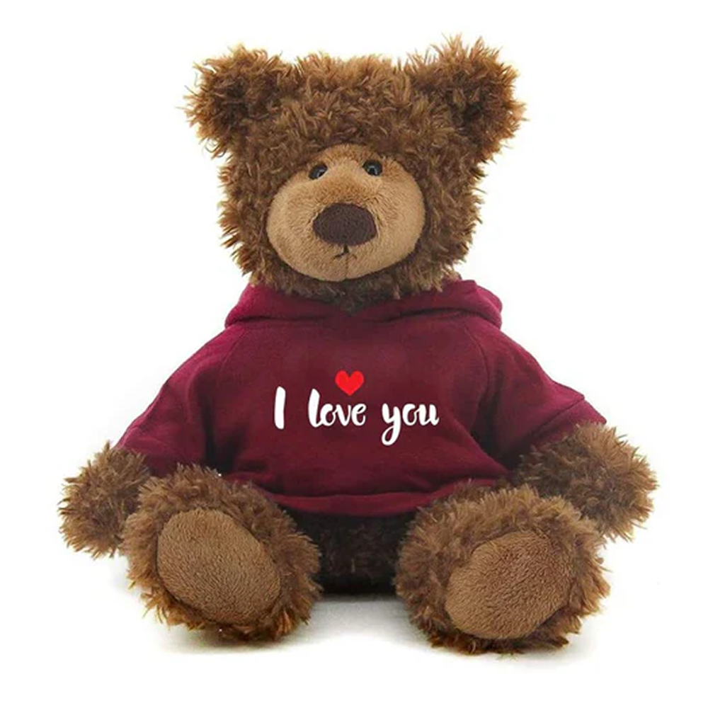 Frankie Bear with Love Hoodie 10inch