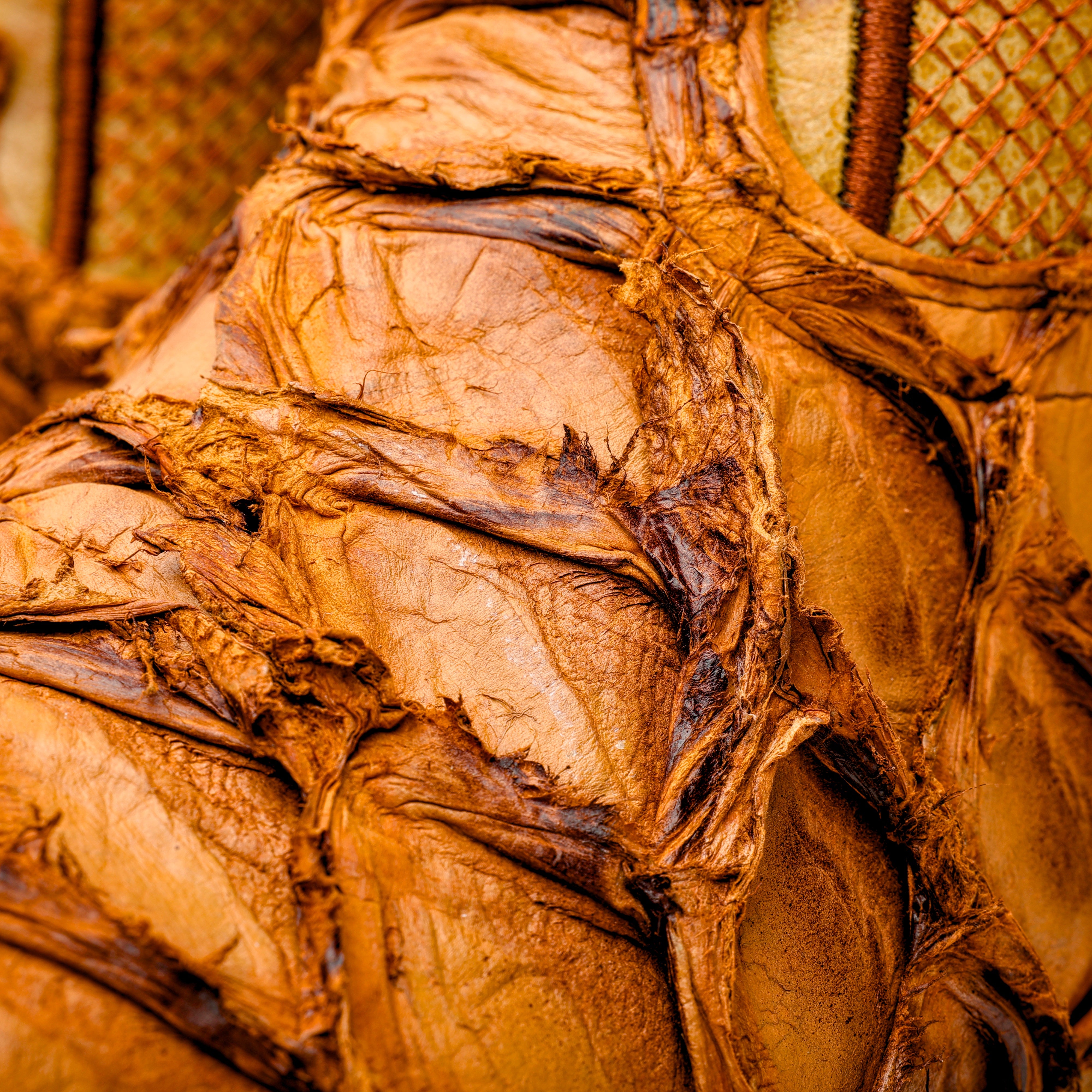 Matte Tan Genuine Pirarucu Boots - Square Toe