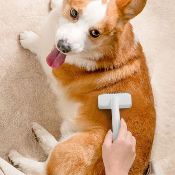 Hair Removal Comb for Pet Hook