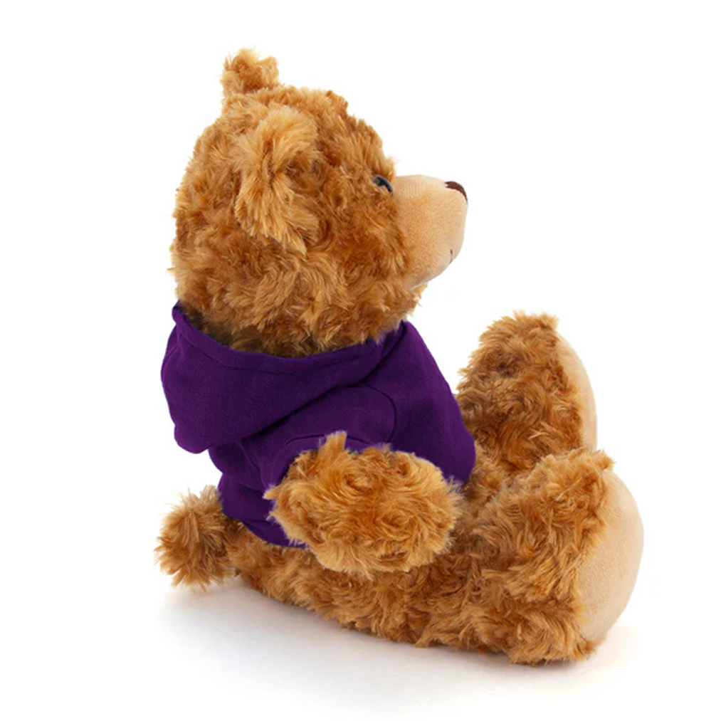 Customized Mocha Bear with Hoodie 11inch