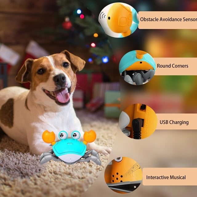 Crawling Crab - Interactive Toy for Pups