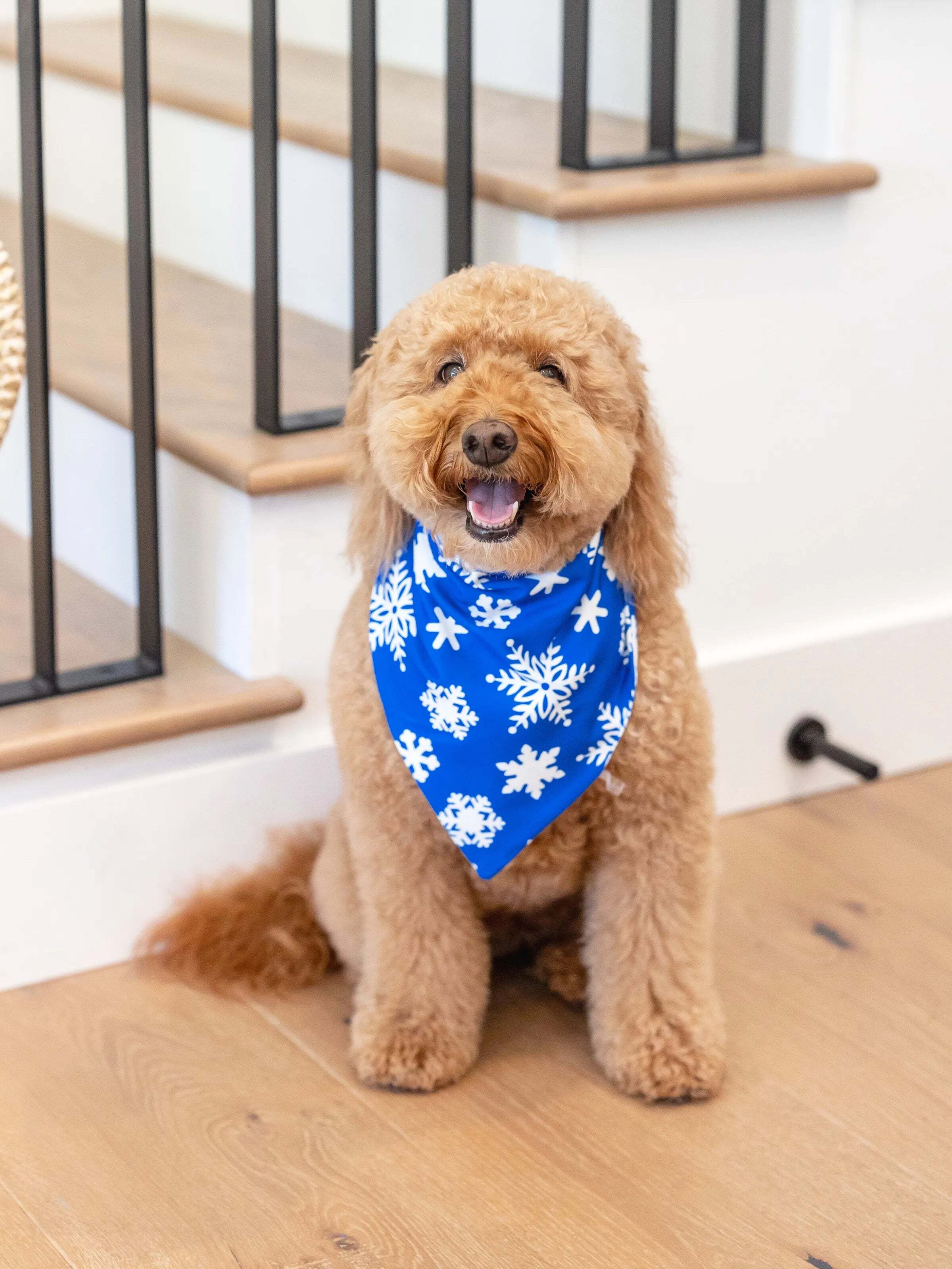 Christmas Matching Family Pajamas Set Snowflake Print Blue PJS with Christmas Socks Blue