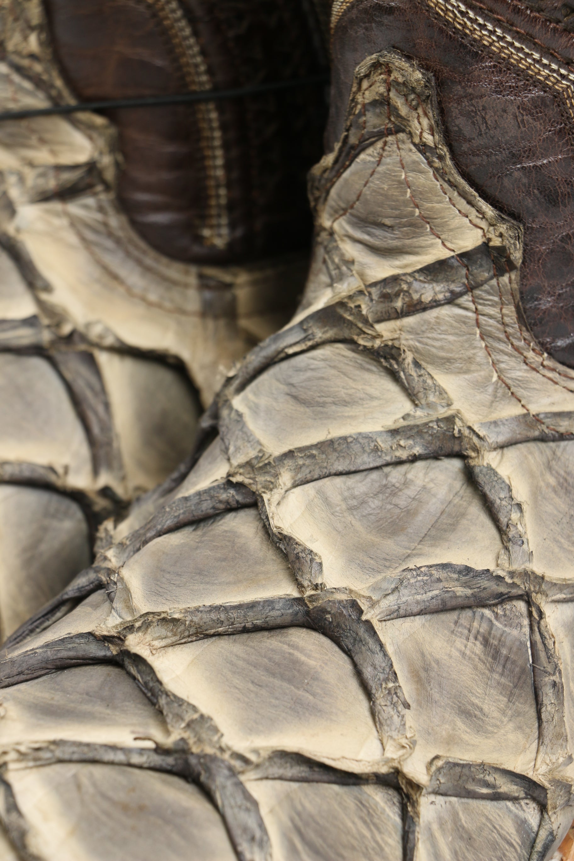 Chero's Premium Exotic Pirarucu Driftwood Clearance Sale