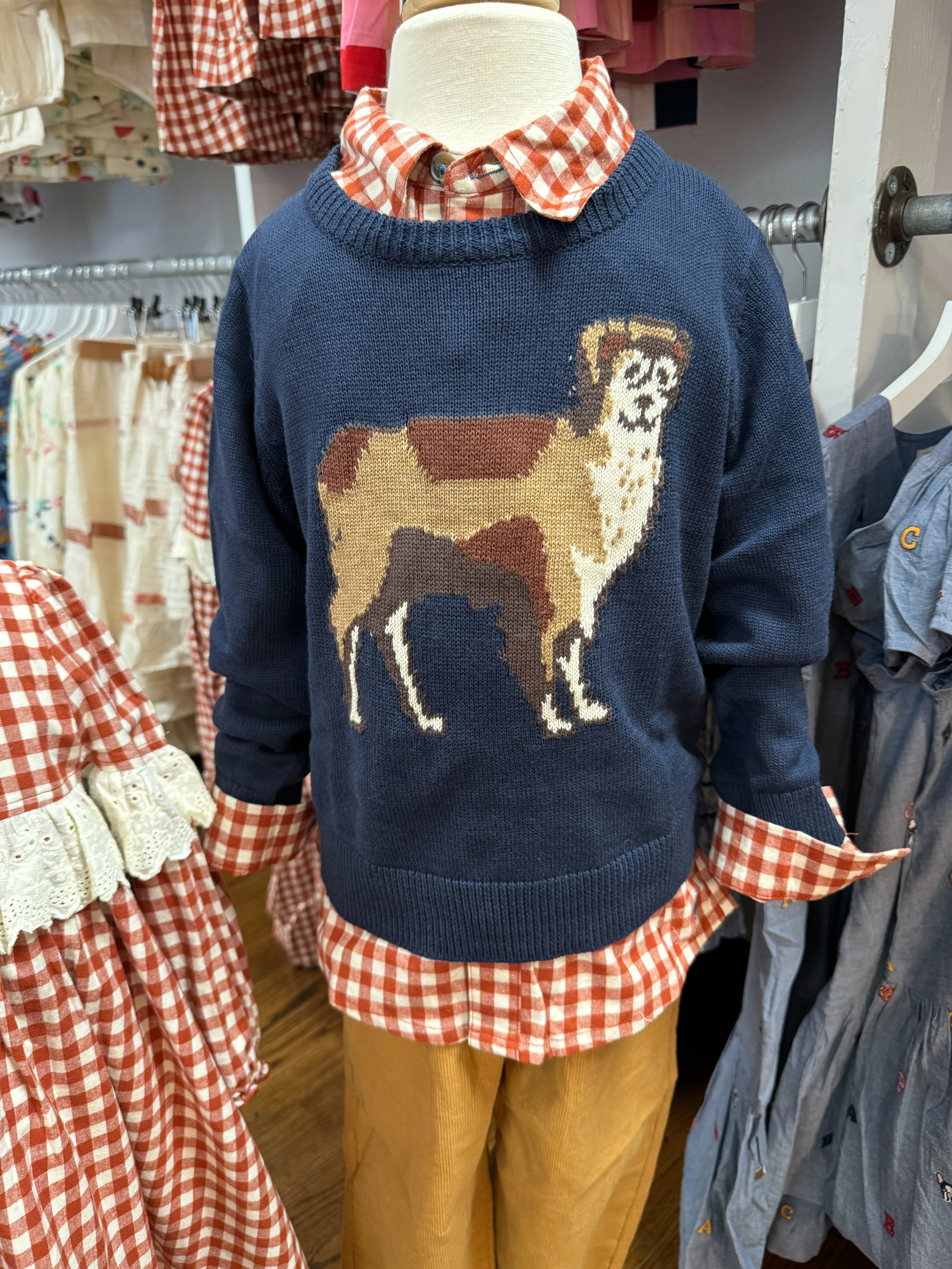 Boys Oliver Sweater Happy Dog