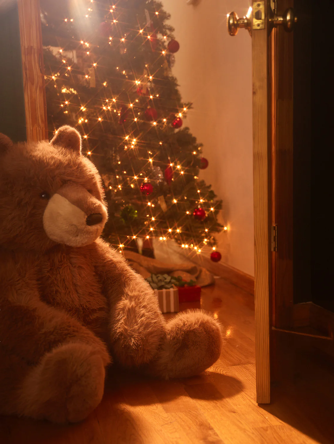 Jumbo Jefferson Bear