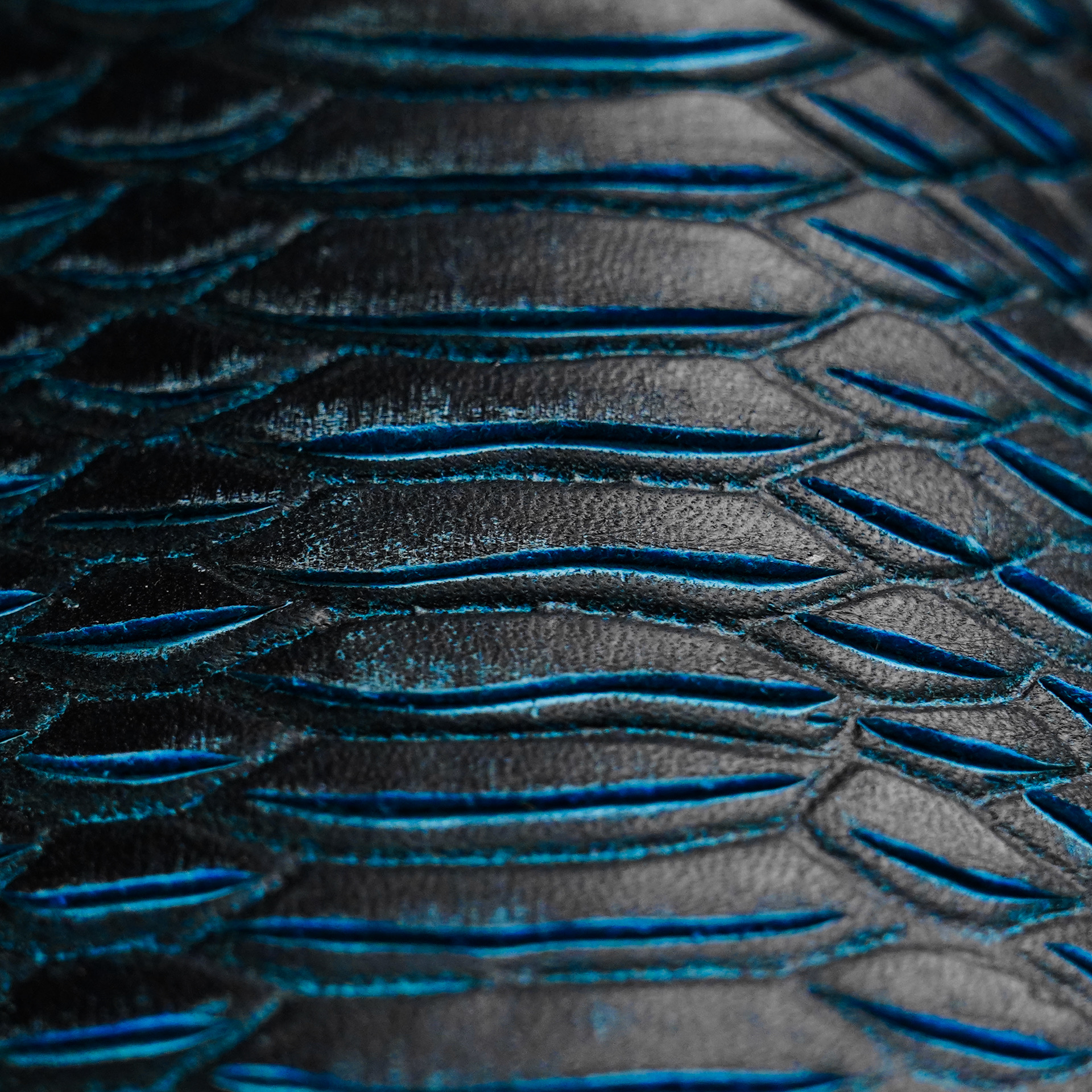 Matte Blue Python – Square Toe