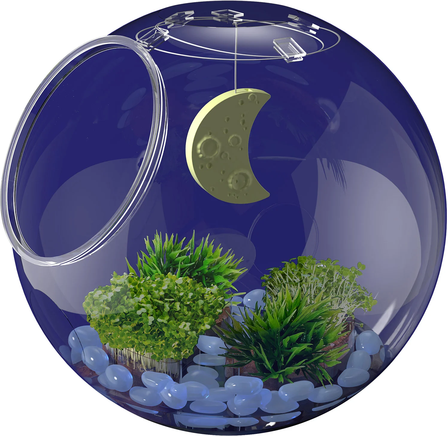 Light-Up Terrarium