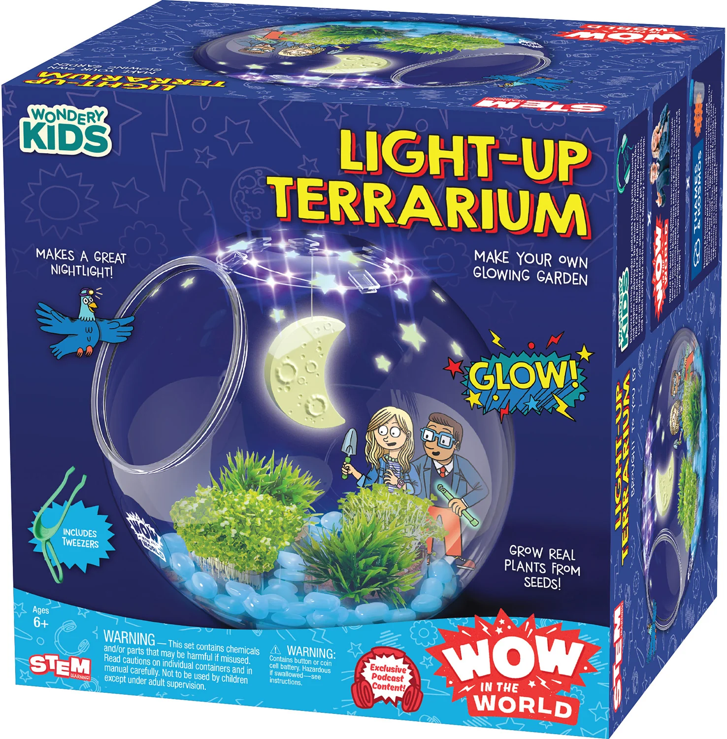 Light-Up Terrarium