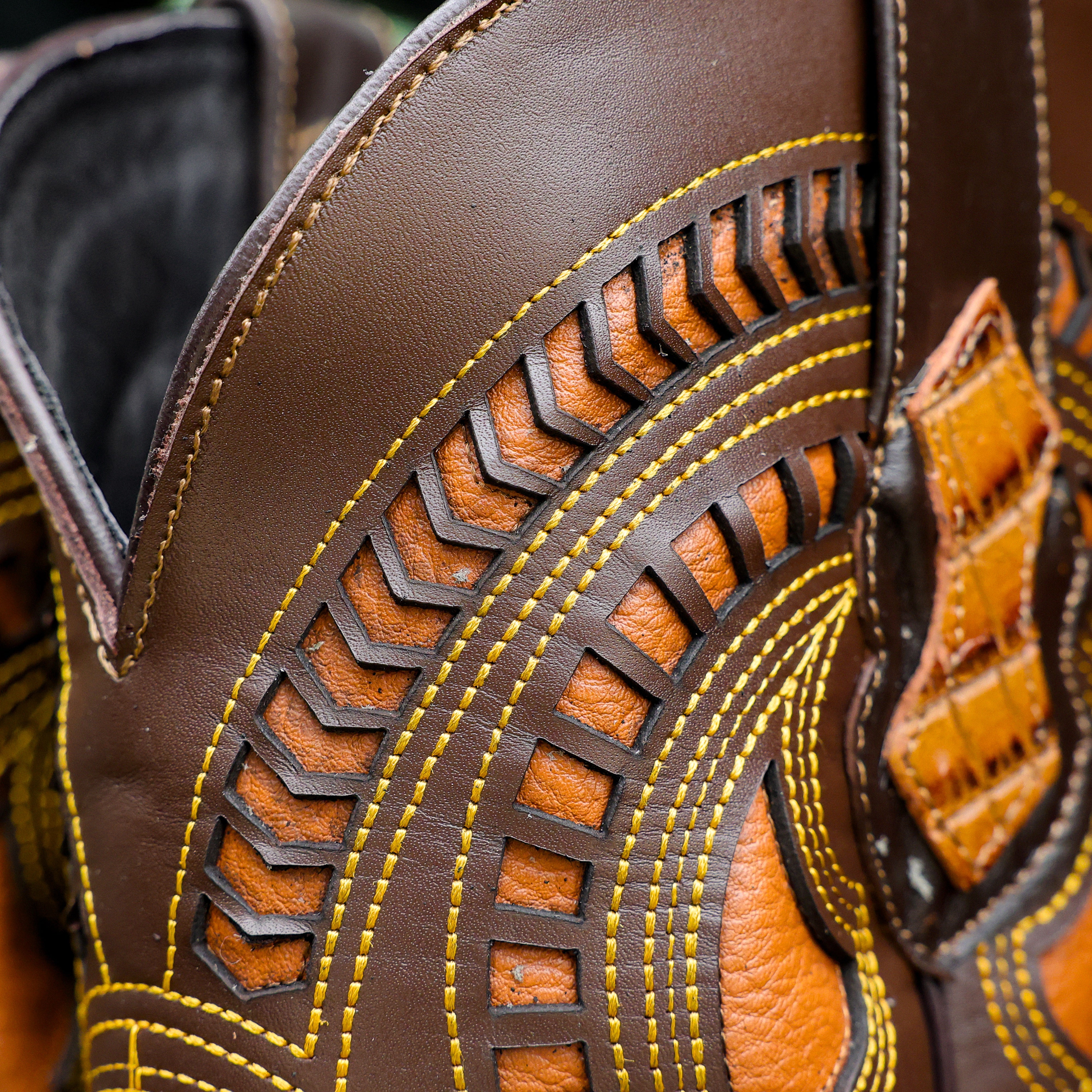 Honey Caiman Belly Leather Boots - Square Toe