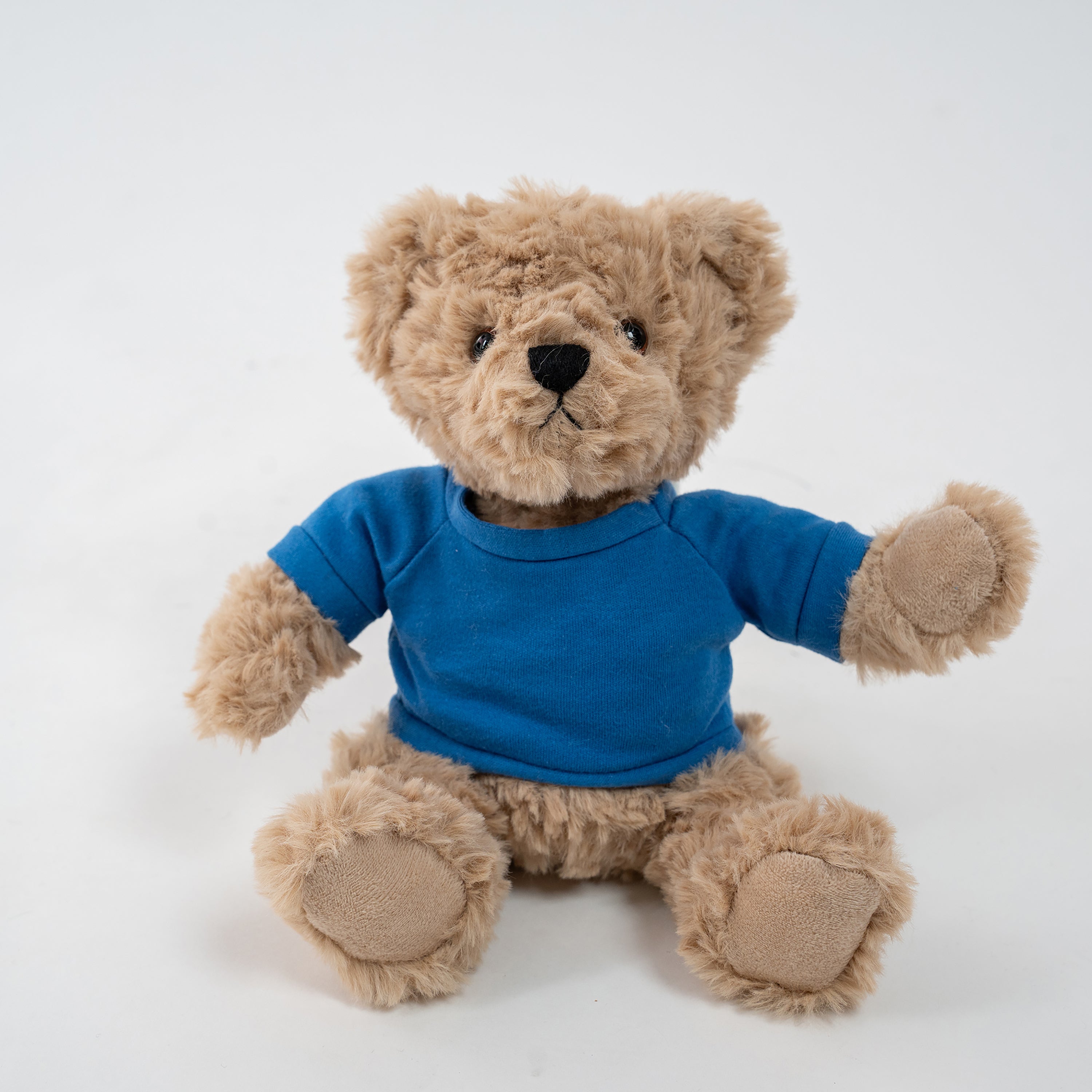 Coco the Curly 6inch Bear Plush Toy with Custom Tee