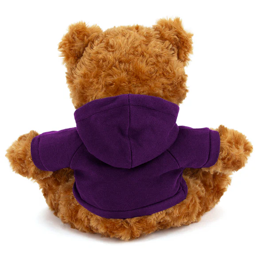 Customized Mocha Bear with Hoodie 11inch