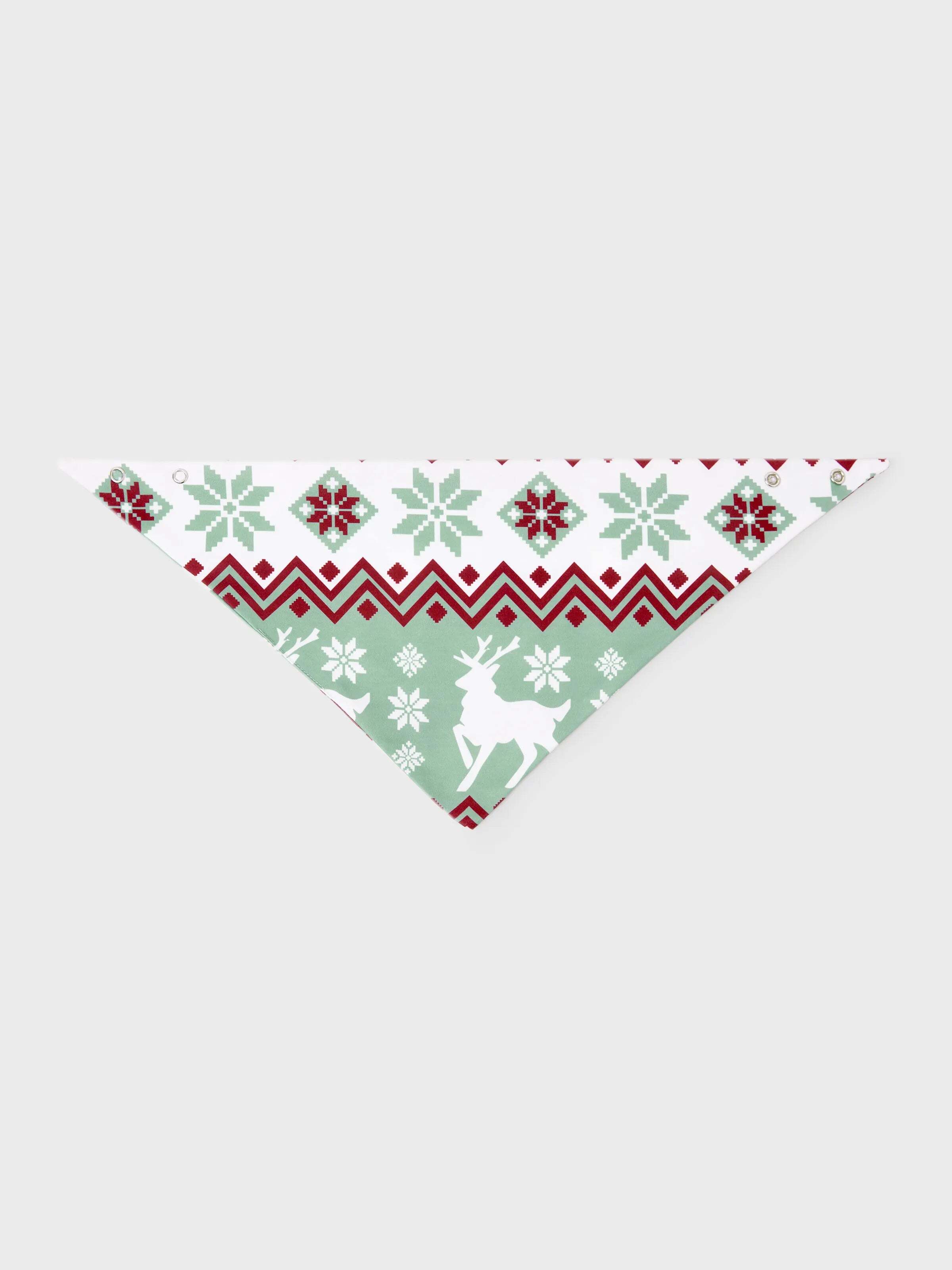 Christmas Matching Family Pajamas Set Christmas Spirit and Snowflake Print PJS with Christmas Socks Pale Green