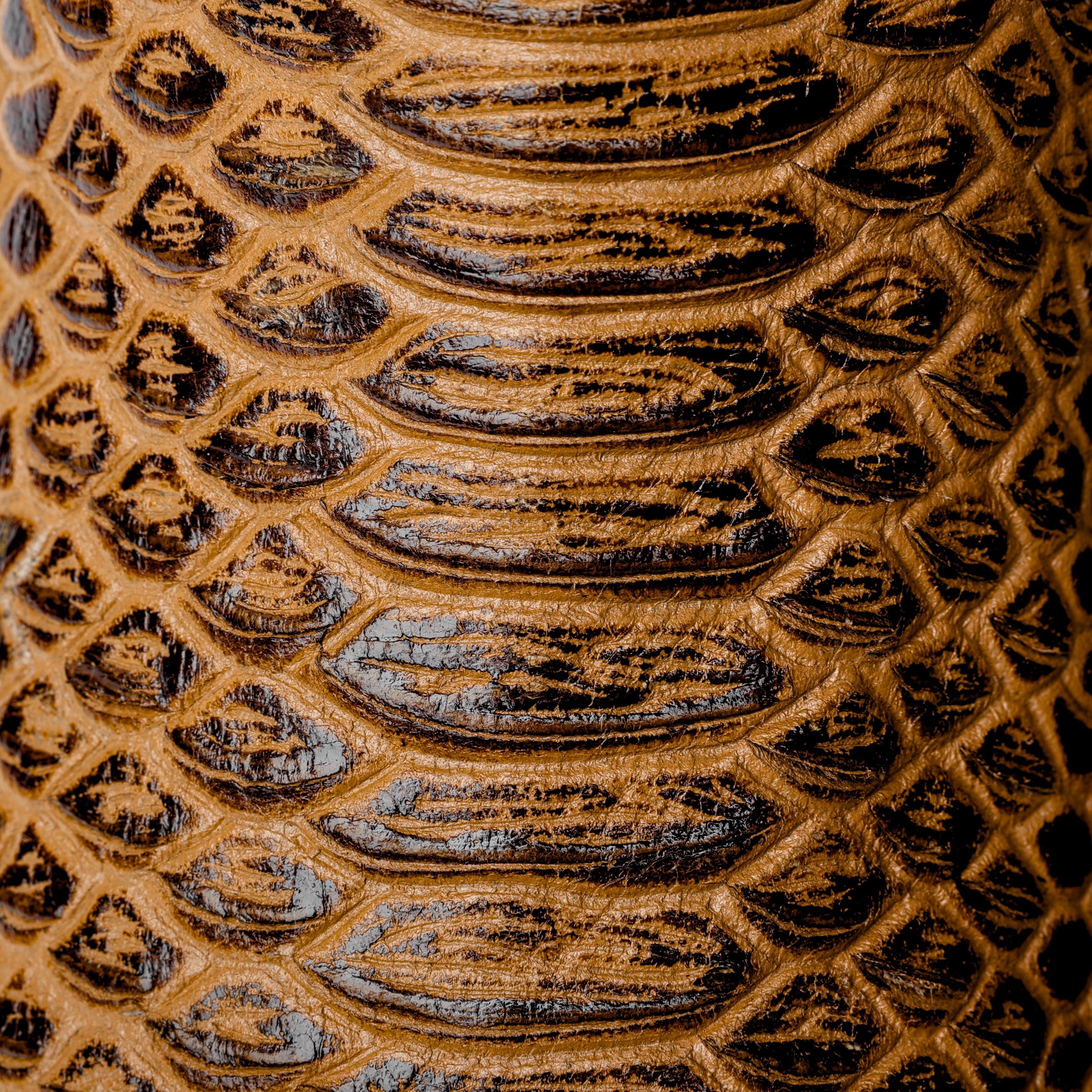 Honey Python Leather Boots - Square Toe