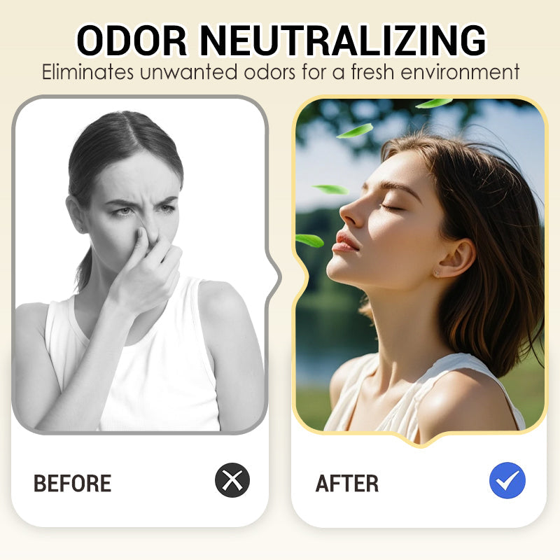 🔥2026 New Arrivals: 50% Off for a Limited Time!🔥Snow Globe-Shaped Inverted Aromatherapy